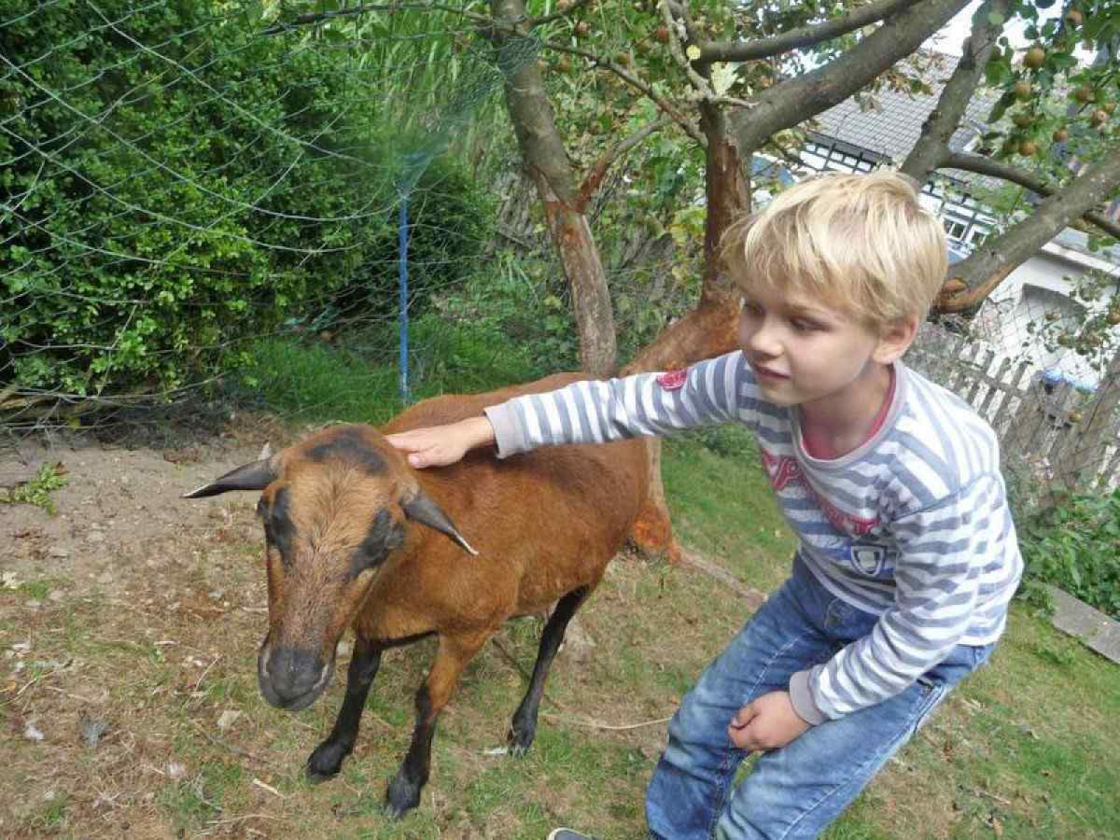 luxe-5-persoons-vakantiehuis-op-de-boerderij-in-sauerland