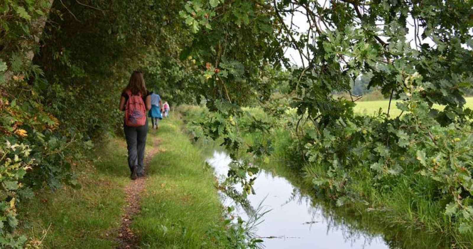 prachtige-7-persoons-woonboerderij-met-grote-tuin-en-vrij-uitzicht-in-friesland