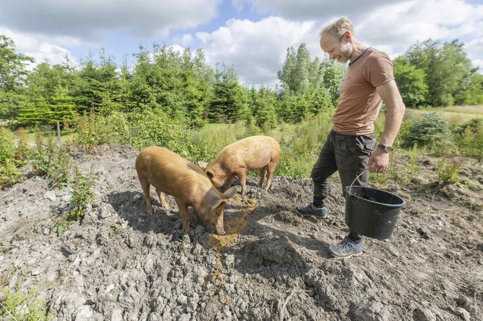 prachtige-7-persoons-woonboerderij-met-grote-tuin-en-vrij-uitzicht-in-friesland