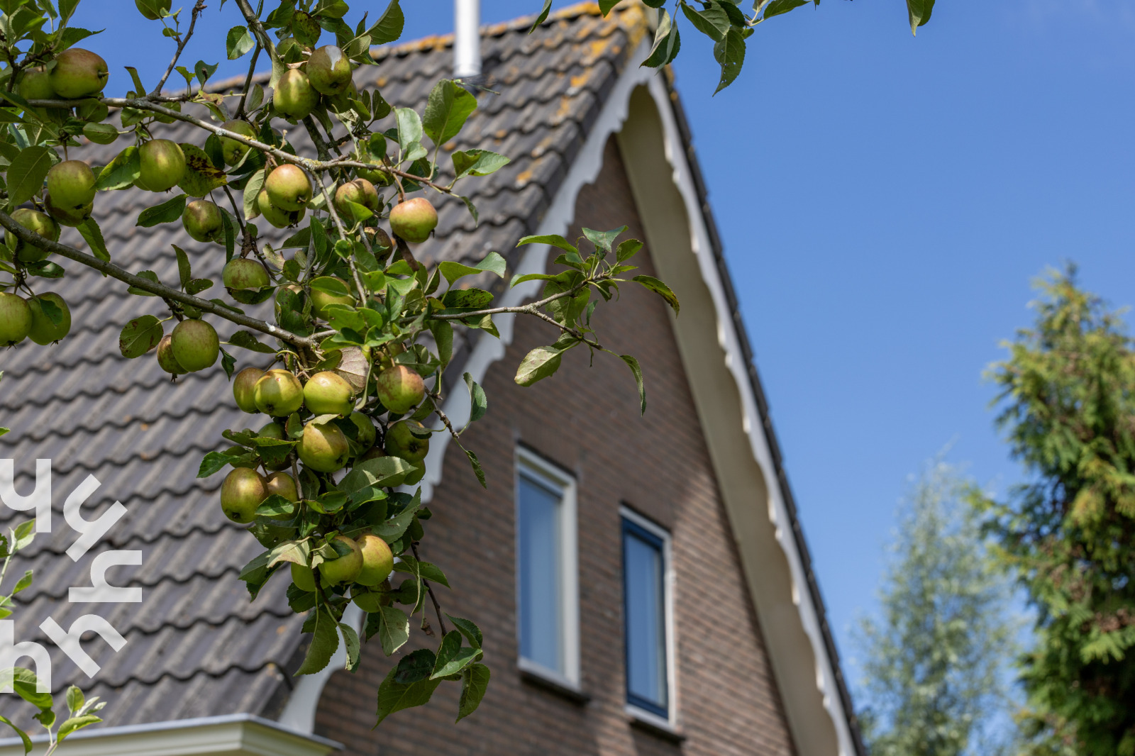 Vakantieboerderij in Noardburgum voor 6 personen foto 18