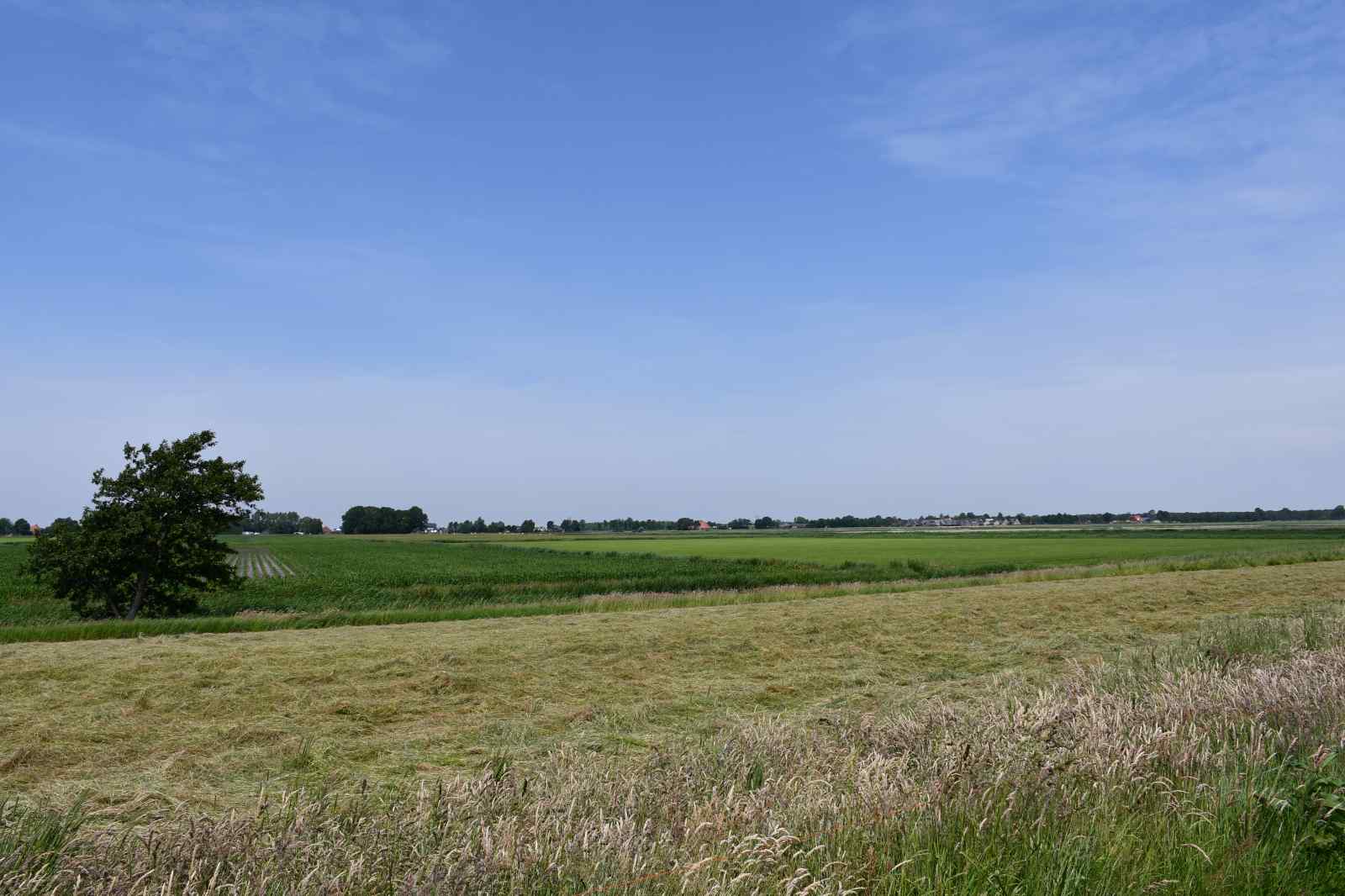 knus-4-persoons-vakantiehuis-met-heerlijke-tuin-in-het-friese-rohel-nabij-het-tjeukemeer