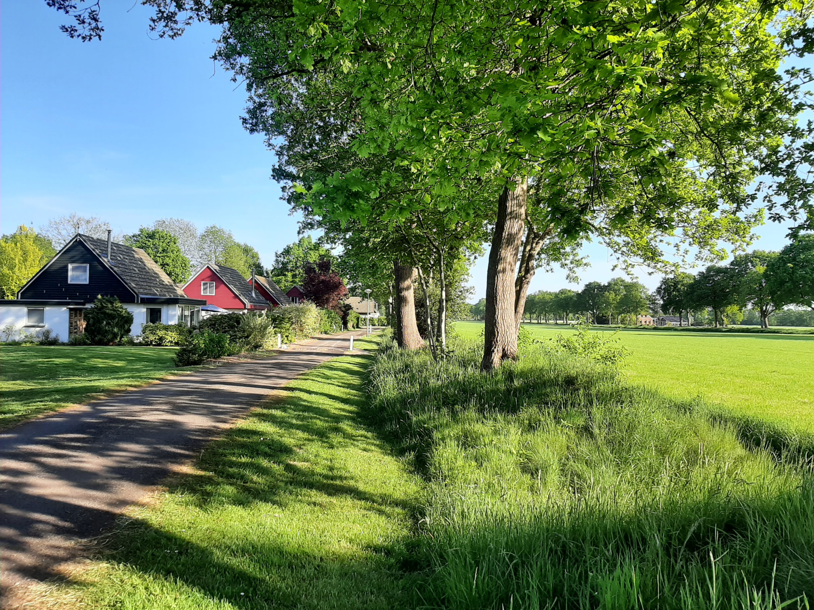 comfortabele-4-persoons-bungalow-met-ruime-tuin-in-boijl-friesland