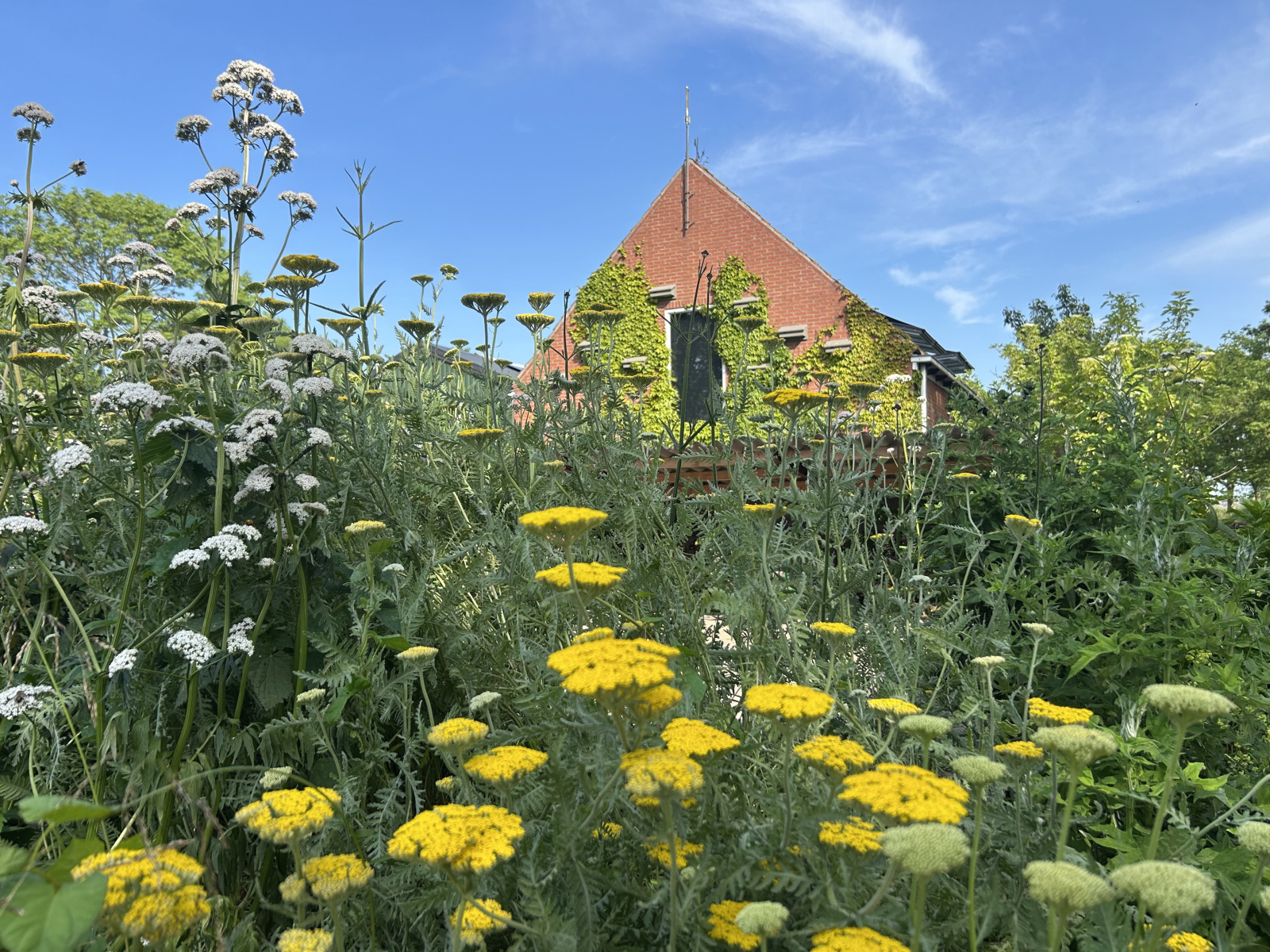 Recreatiewoning in Marrum voor 10 personen foto 4