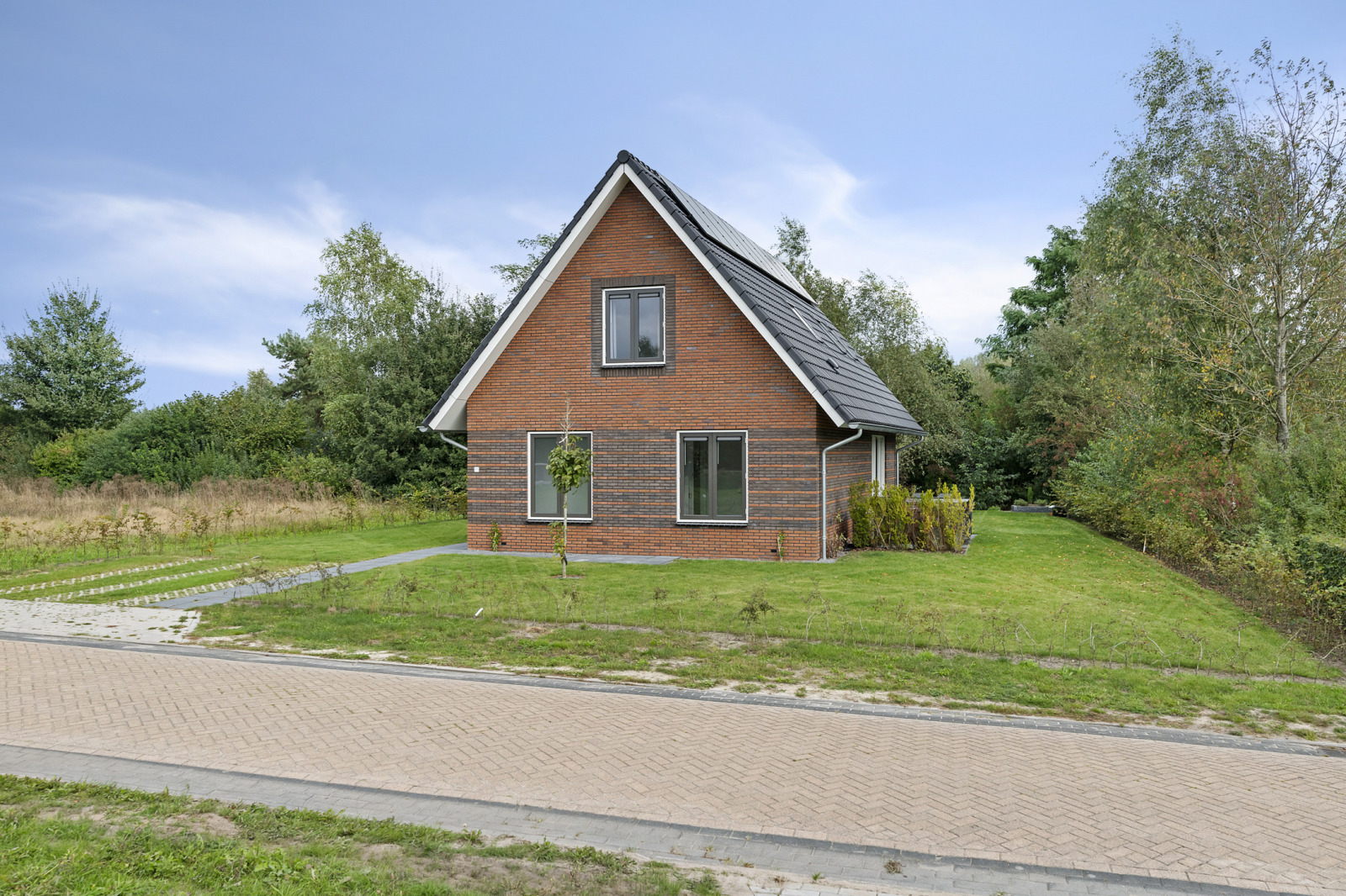 Villa in Appelscha voor 8 personen foto 12