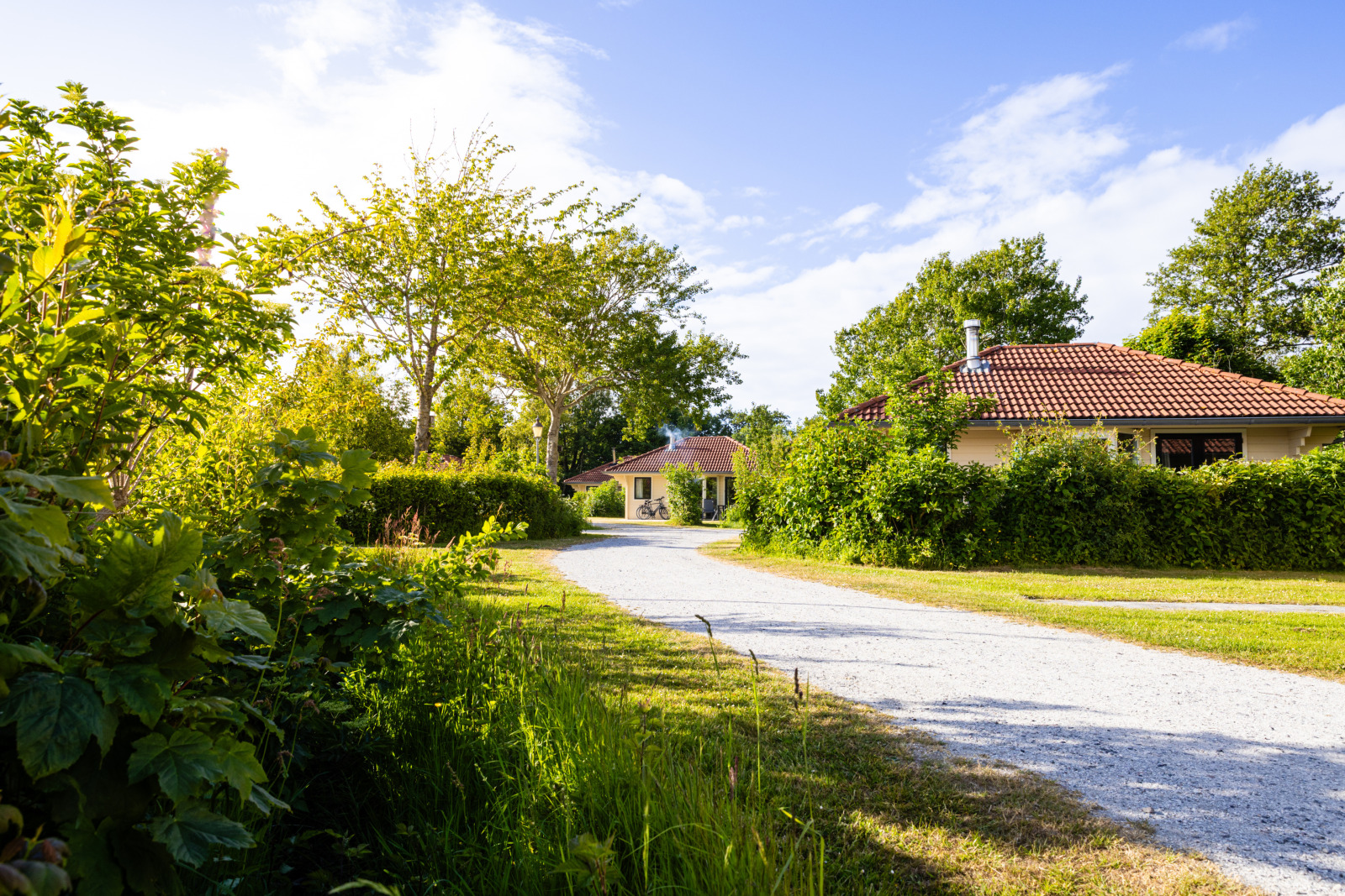 Villa in Oosterend voor 6 personen foto 12