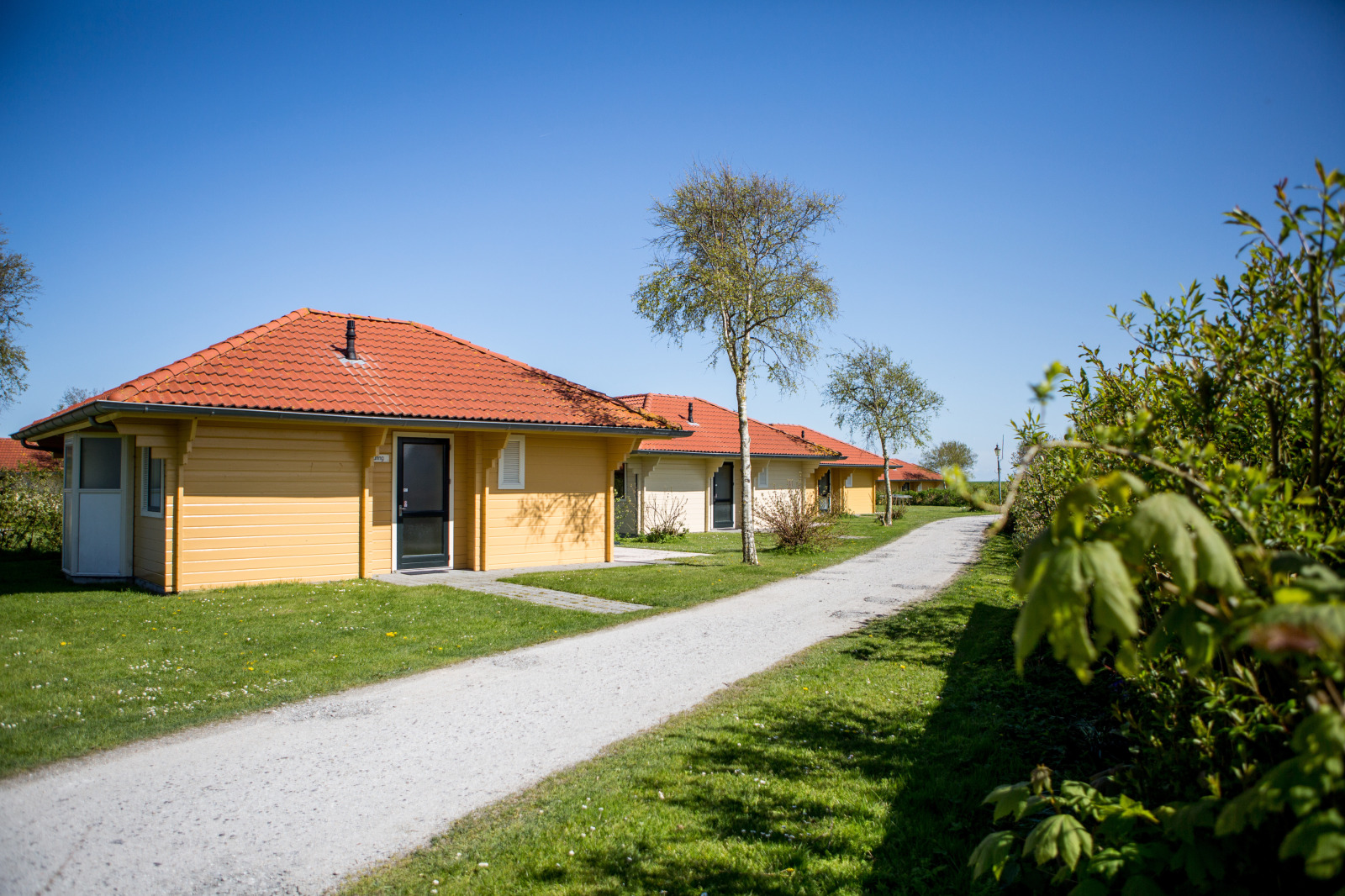 Villa in Oosterend voor 6 personen foto 10