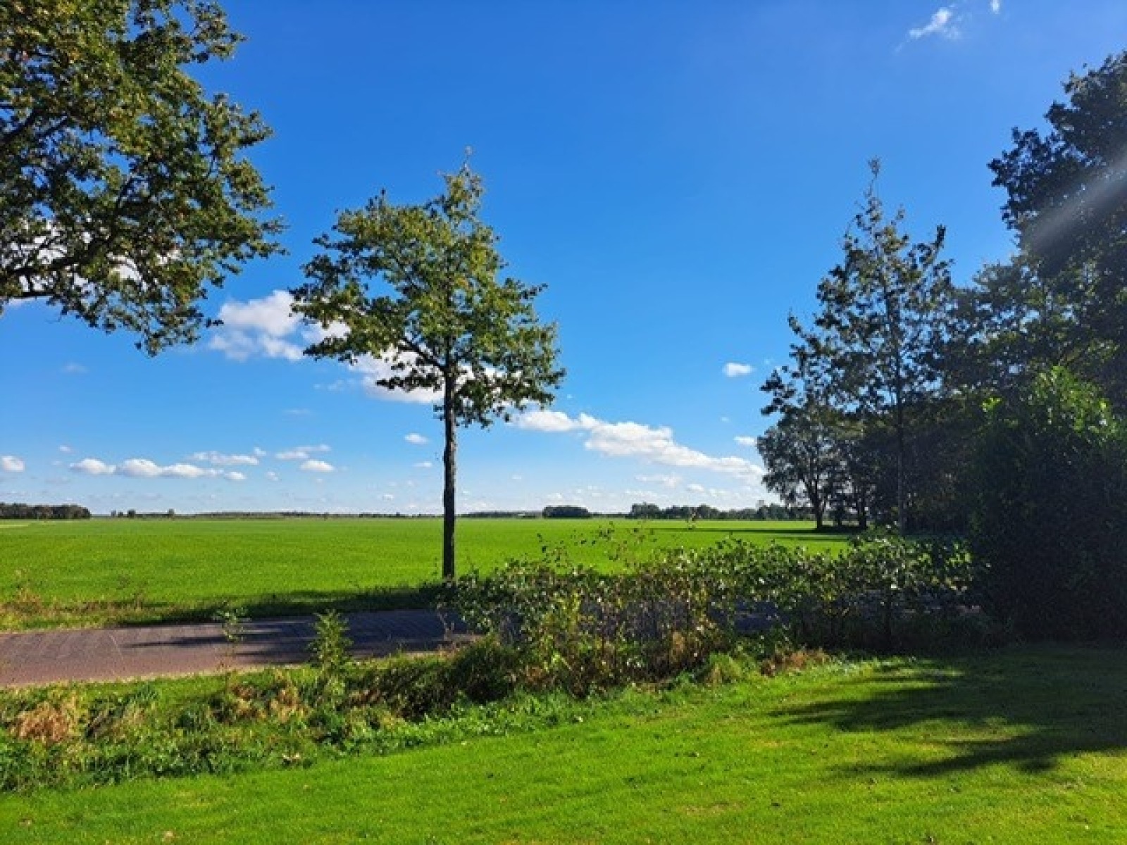 Vakantieboerderij in Fochteloo voor 7 personen foto 3
