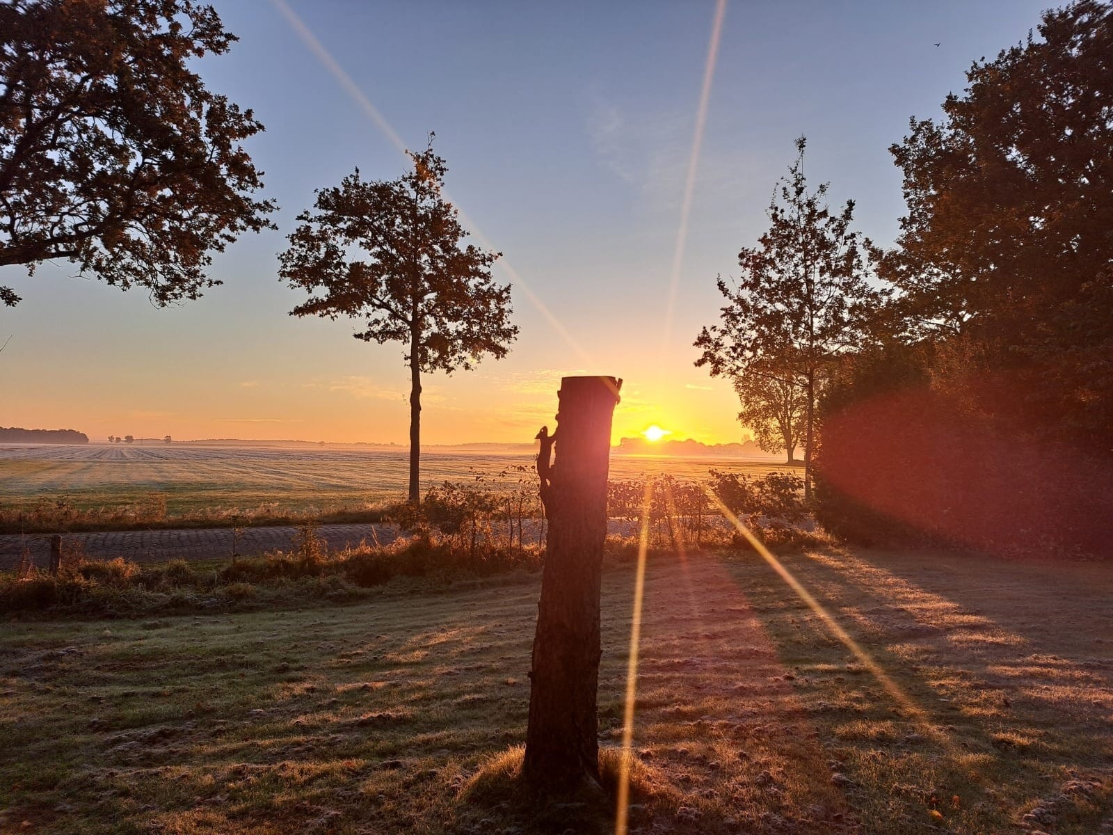 Vakantieboerderij in Fochteloo voor 7 personen foto 9