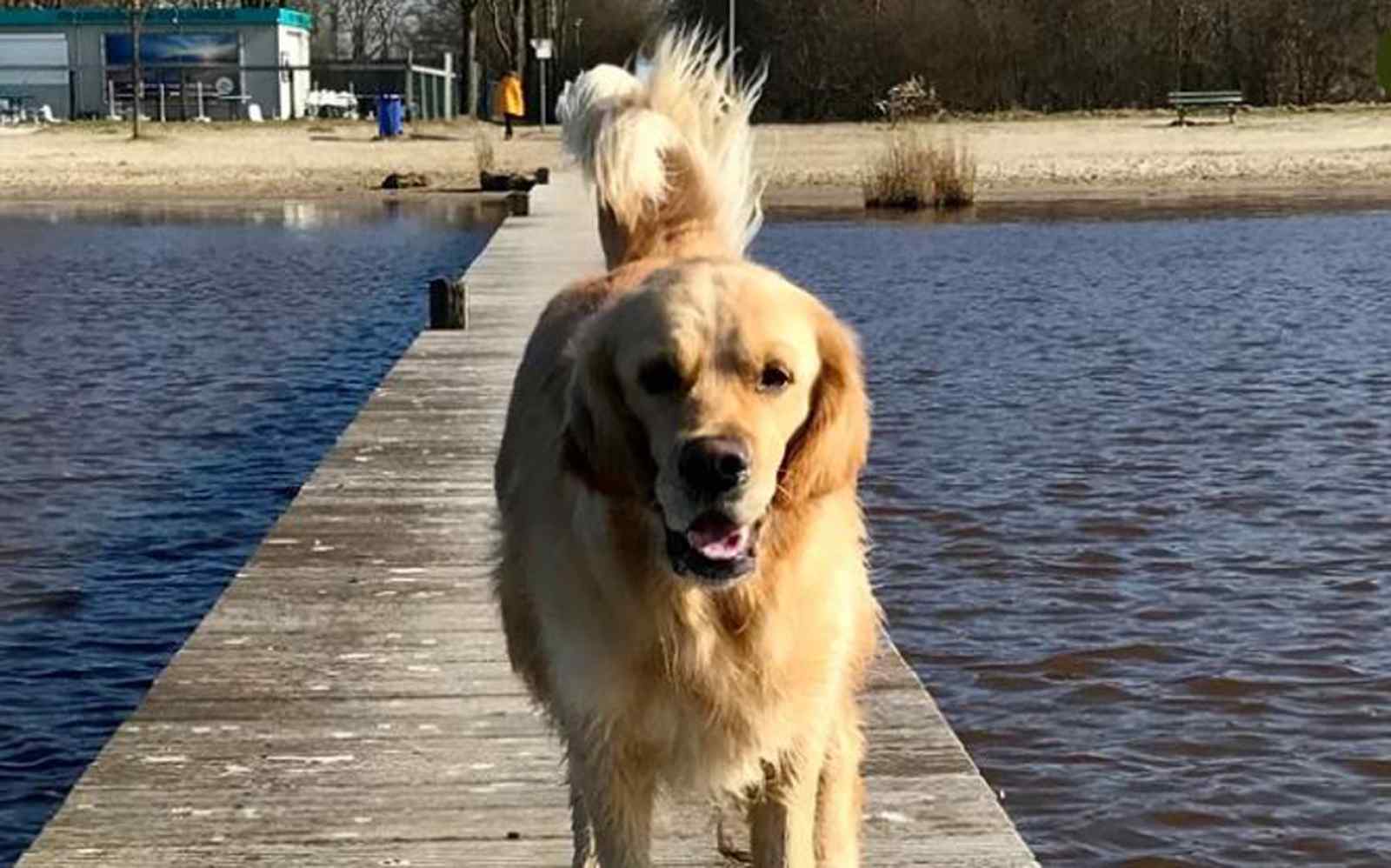 6-persoons-vakantiehuis-in-steendam-nabij-het-schildmeer