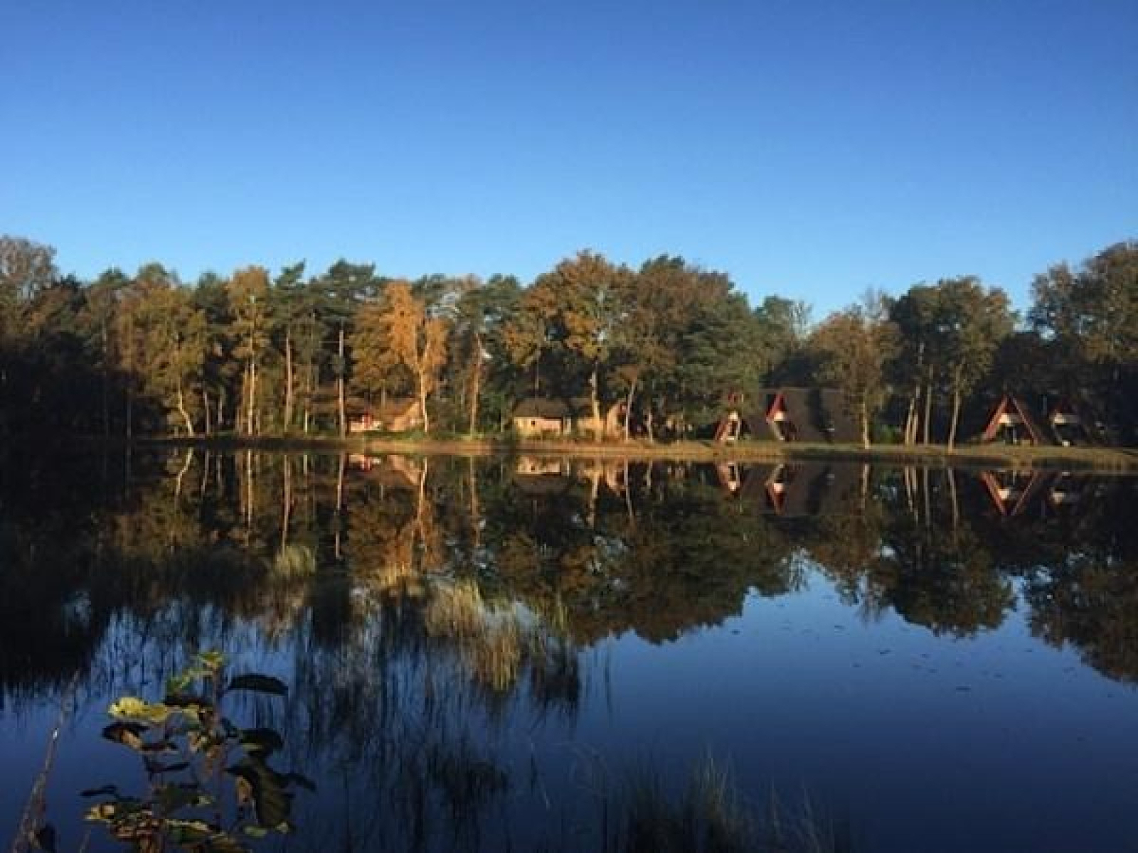 mooi-5-persoons-vakantiehuis-op-gezellig-familiepark-in-limburg