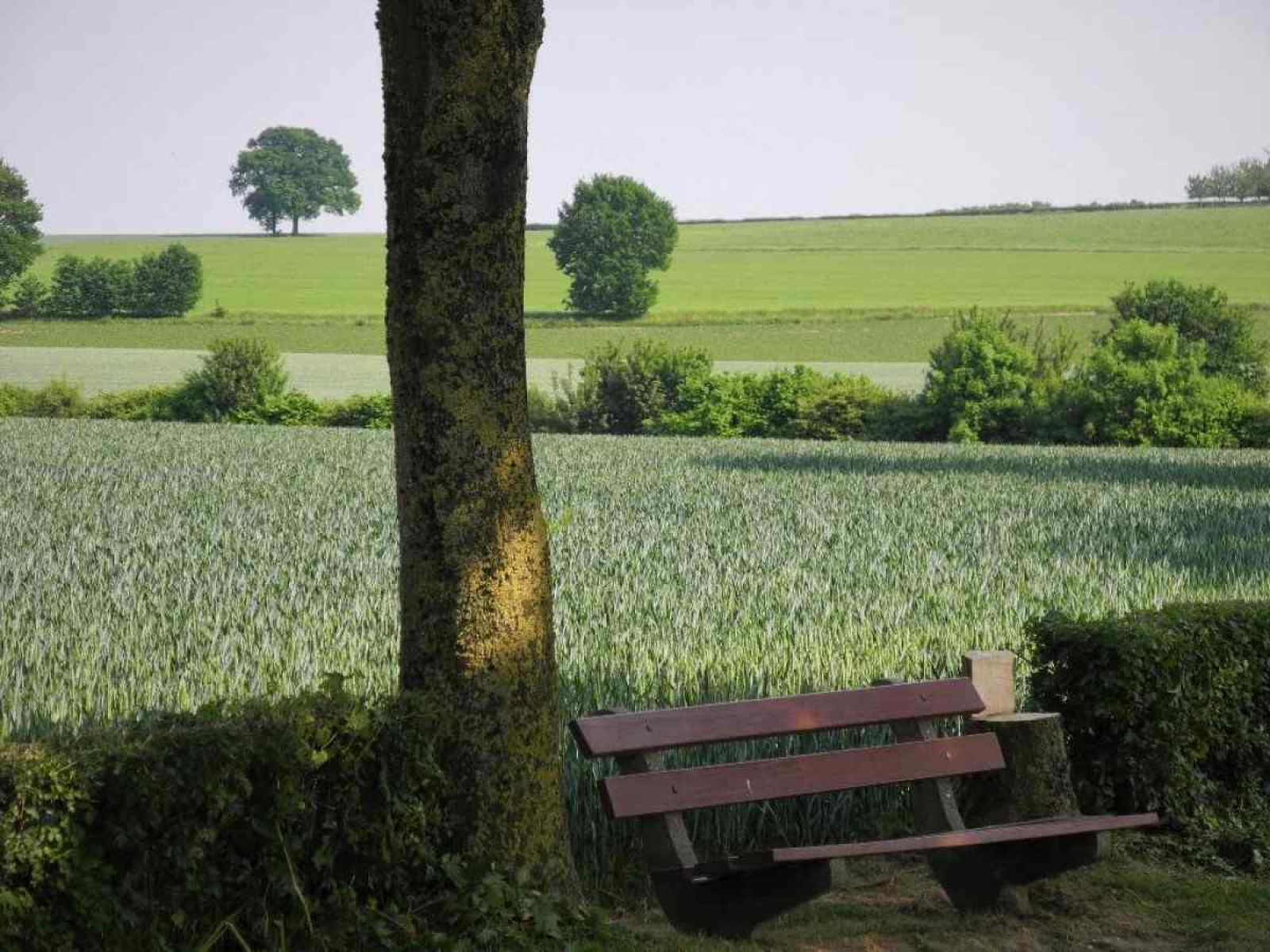 gezellige-4-persoons-vakantiehuis-in-idyllische-boerderij-in-zuid-limburg