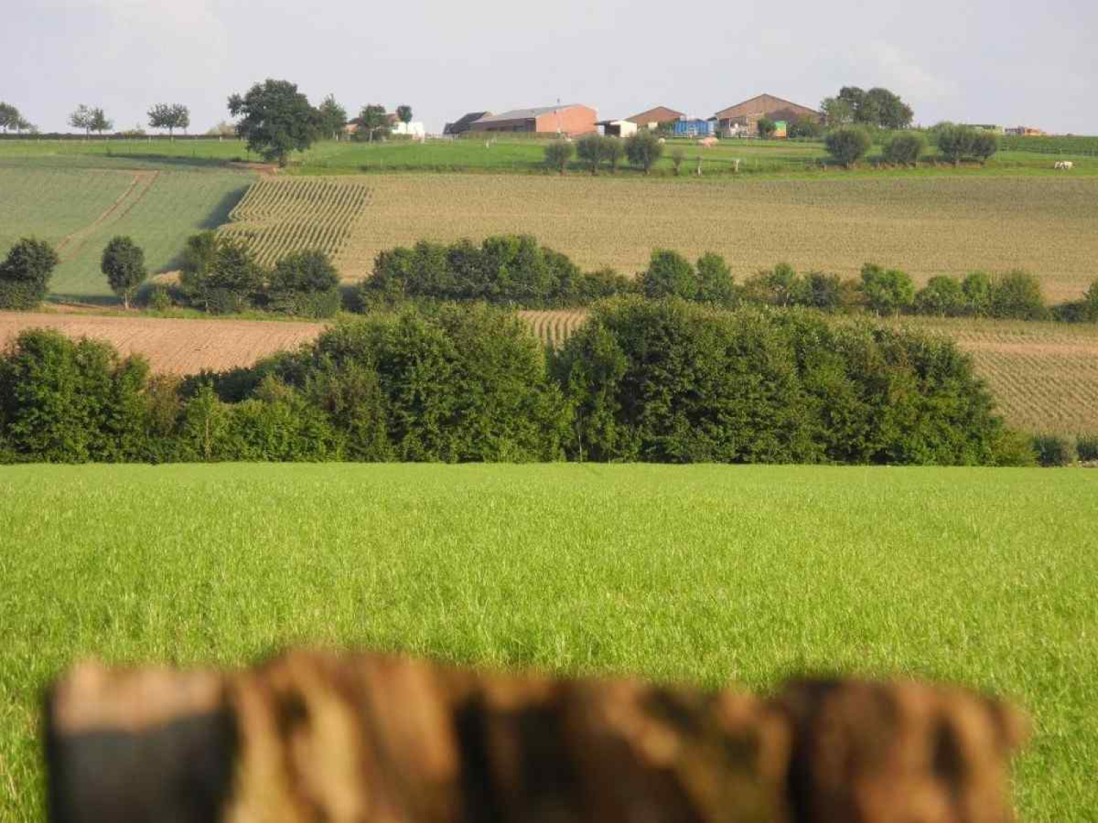 gezellige-4-persoons-vakantiehuis-in-idyllische-boerderij-in-zuid-limburg