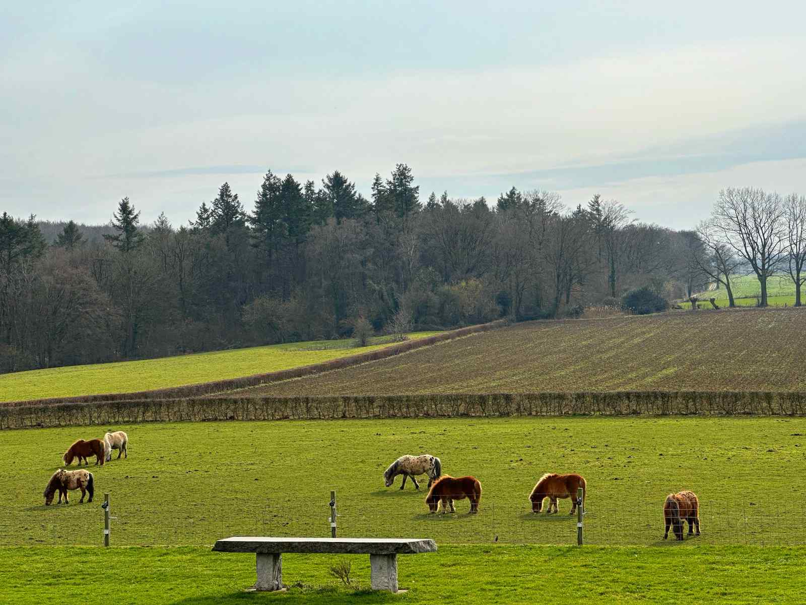 fijn-6-persoons-vakantiehuis-in-zuid-limburg