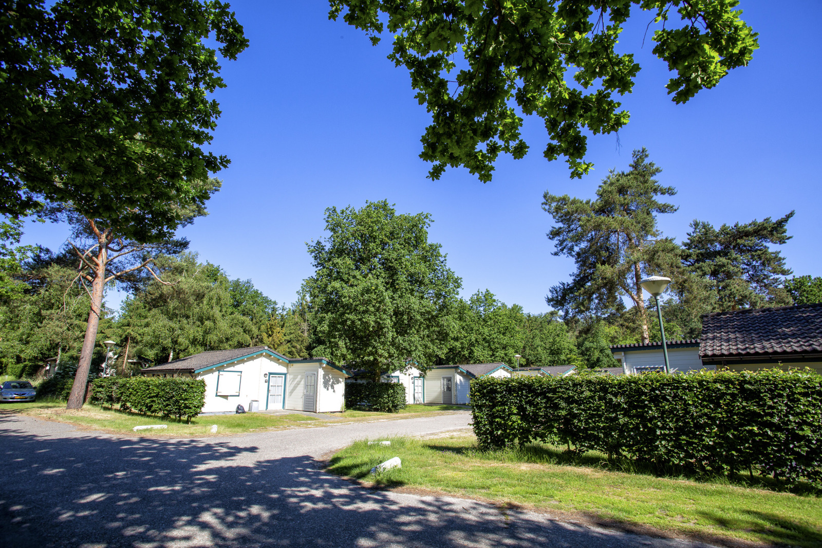 mooi-5-persoons-chalet-op-parc-de-witte-vennen-in-noord-limburg