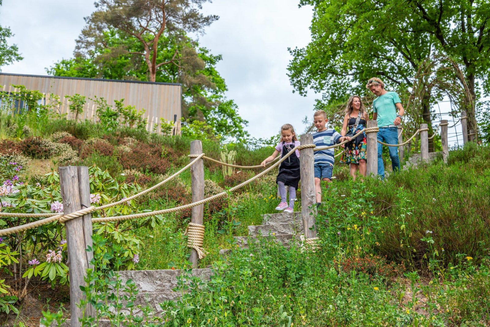 4-persoons-blokhut-met-sauna-op-vakantiepark-maasduinen-nabij-venlo