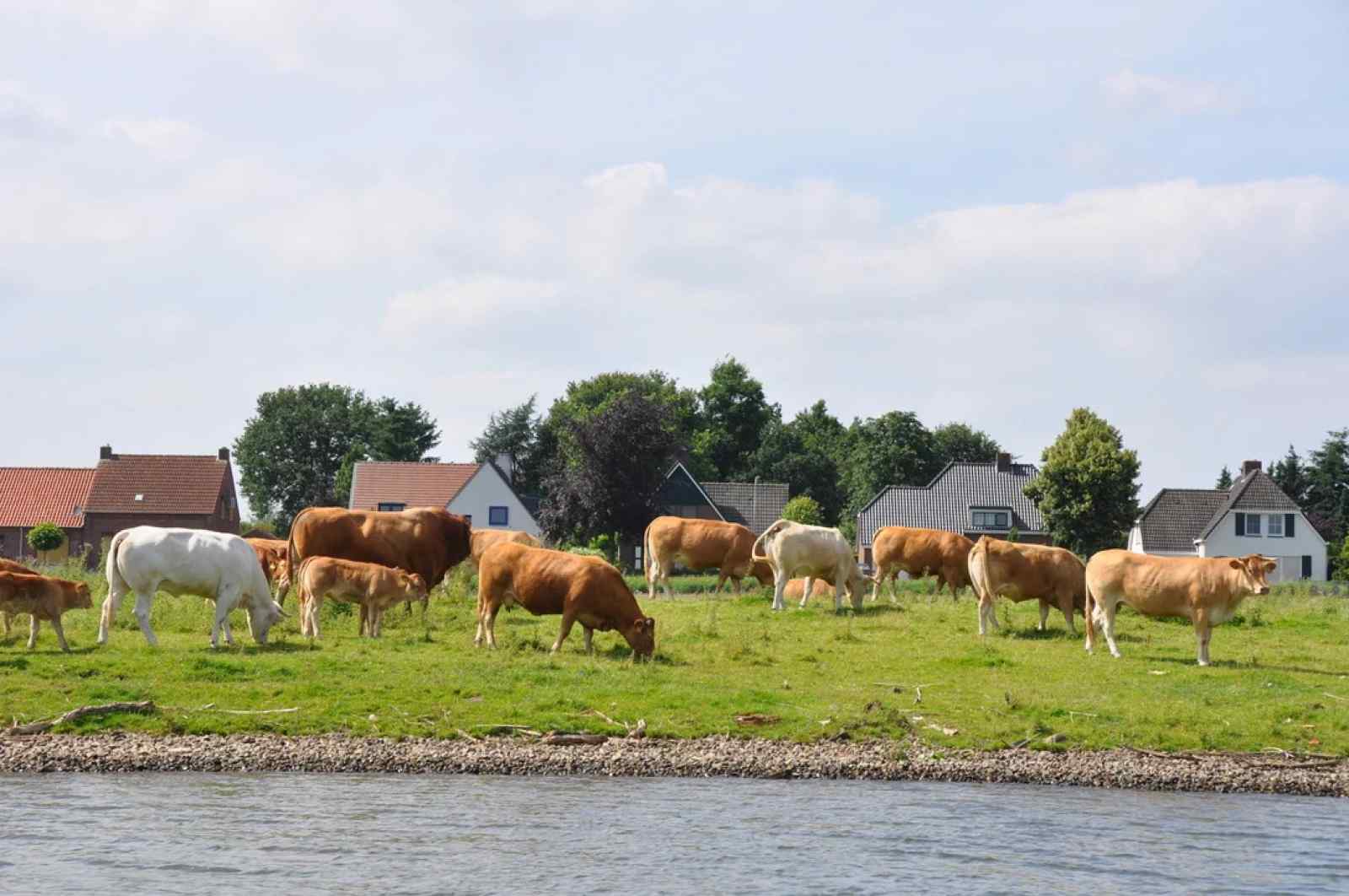 landelijke-vakantiewoning-voor-7-personen-in-noord-limburg