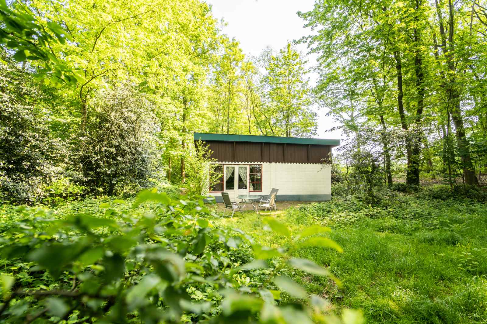 Bosrijk gelegen 5 persoons vakantiehuis in het Drakendo