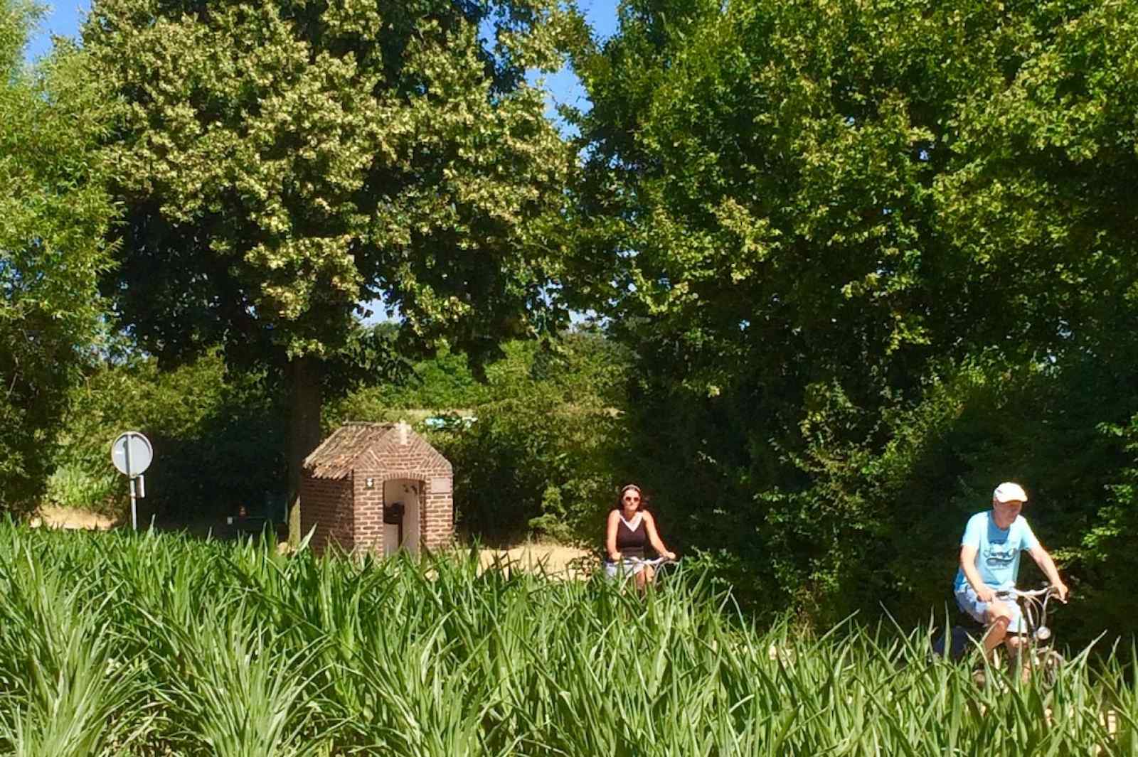 natuurrijk-gelegen-5-persoons-vakantiehuis-nabij-het-bos-en-water-in-beesel-limburg