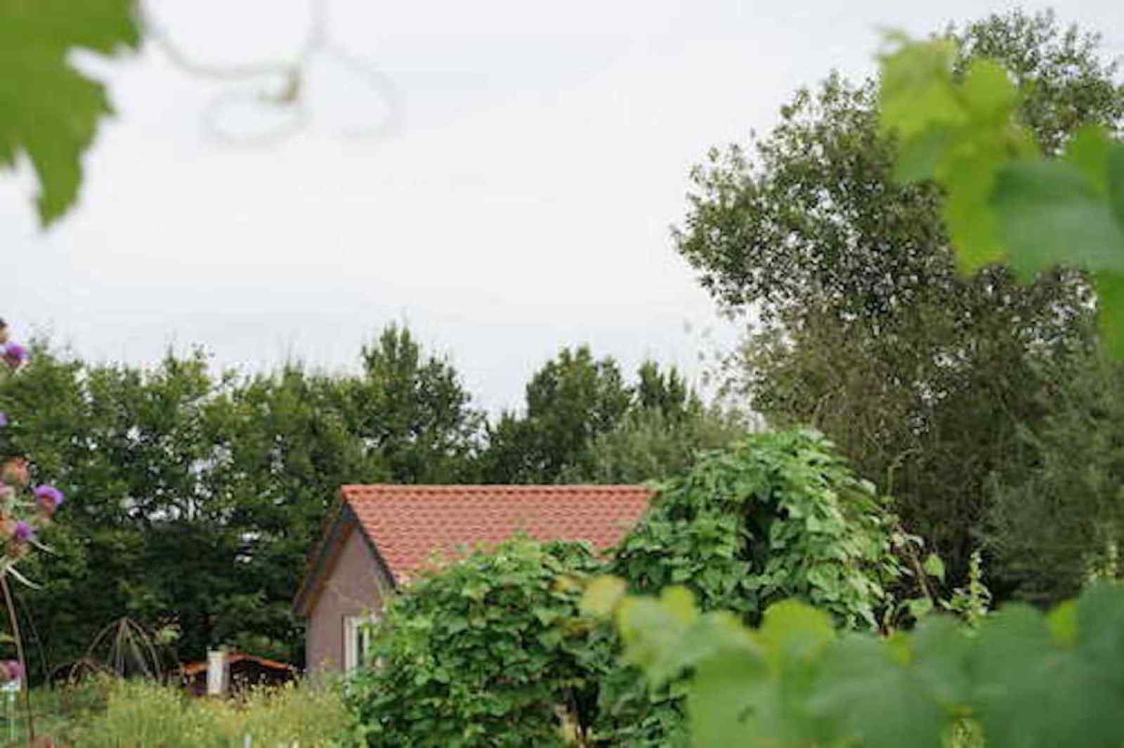 natuurrijk-gelegen-5-persoons-vakantiehuis-nabij-het-bos-en-water-in-beesel-limburg