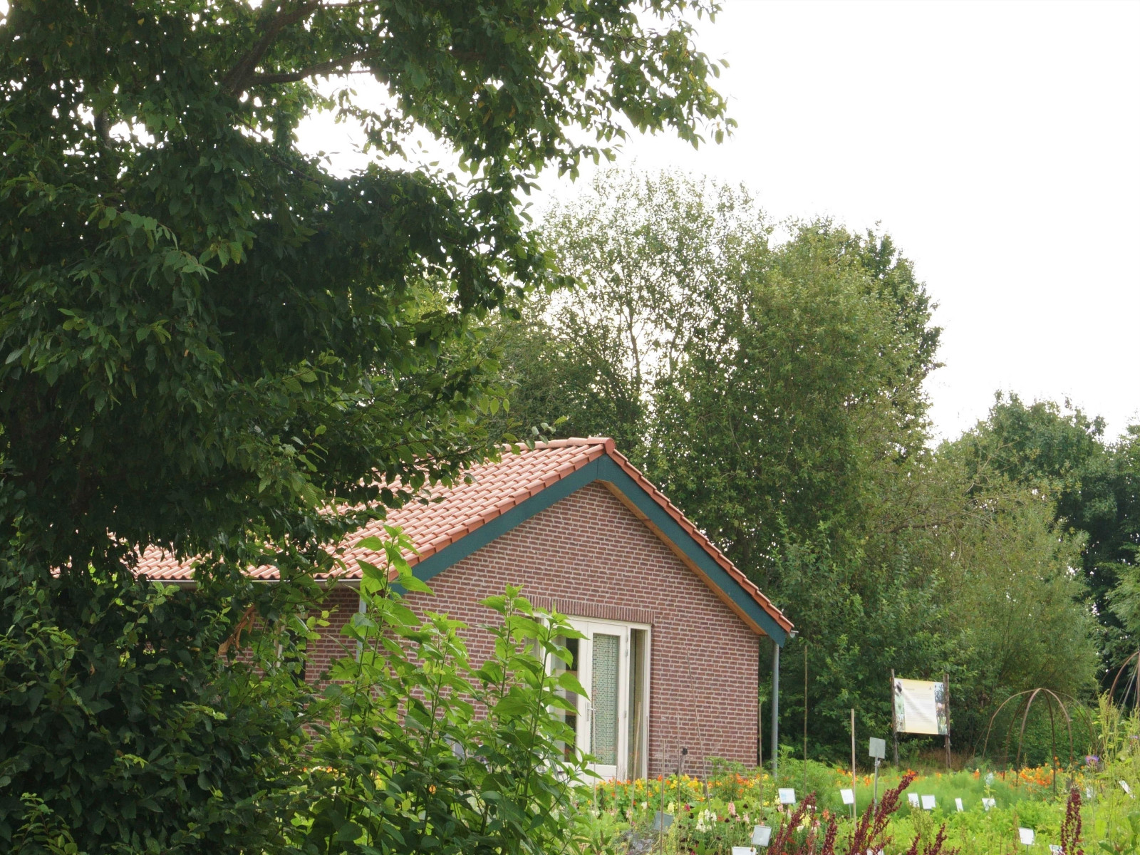 natuurrijk-gelegen-5-persoons-vakantiehuis-nabij-het-bos-en-water-in-beesel-limburg