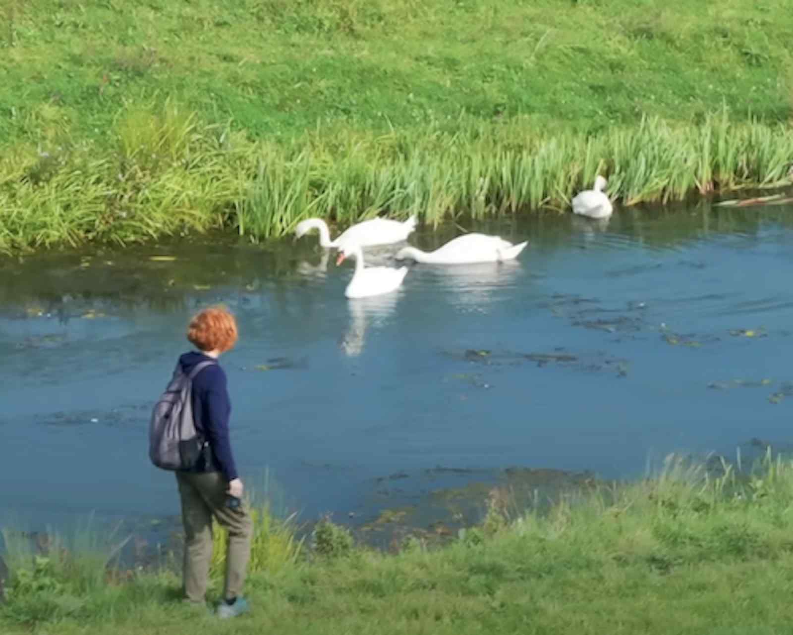 natuurrijk-gelegen-5-persoons-vakantiehuis-nabij-het-bos-en-water-in-beesel-limburg