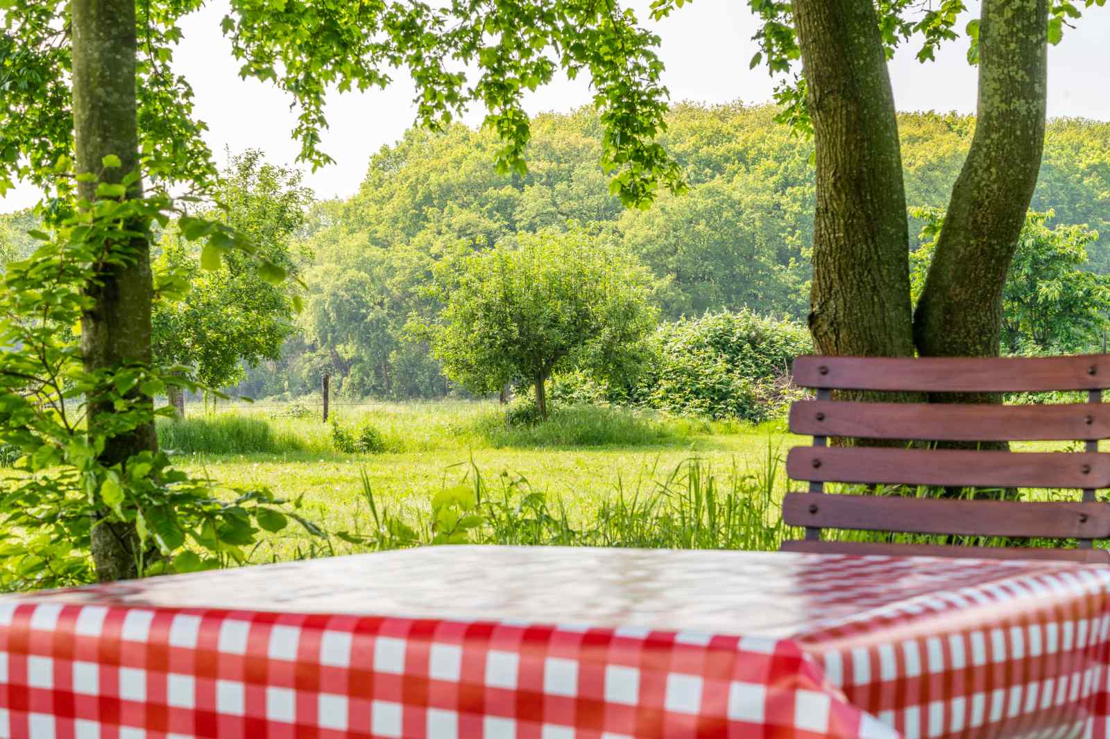 vakantiehuis-met-prachtig-uitzicht-in-beesel-limburg-voor-8-personen-rolstoeltoegankelijk