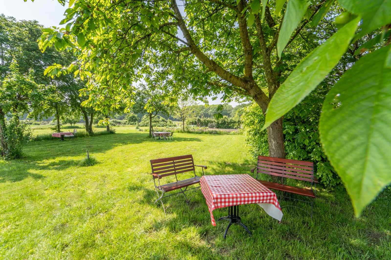 vakantiehuis-met-prachtig-uitzicht-in-beesel-limburg-voor-8-personen-rolstoeltoegankelijk