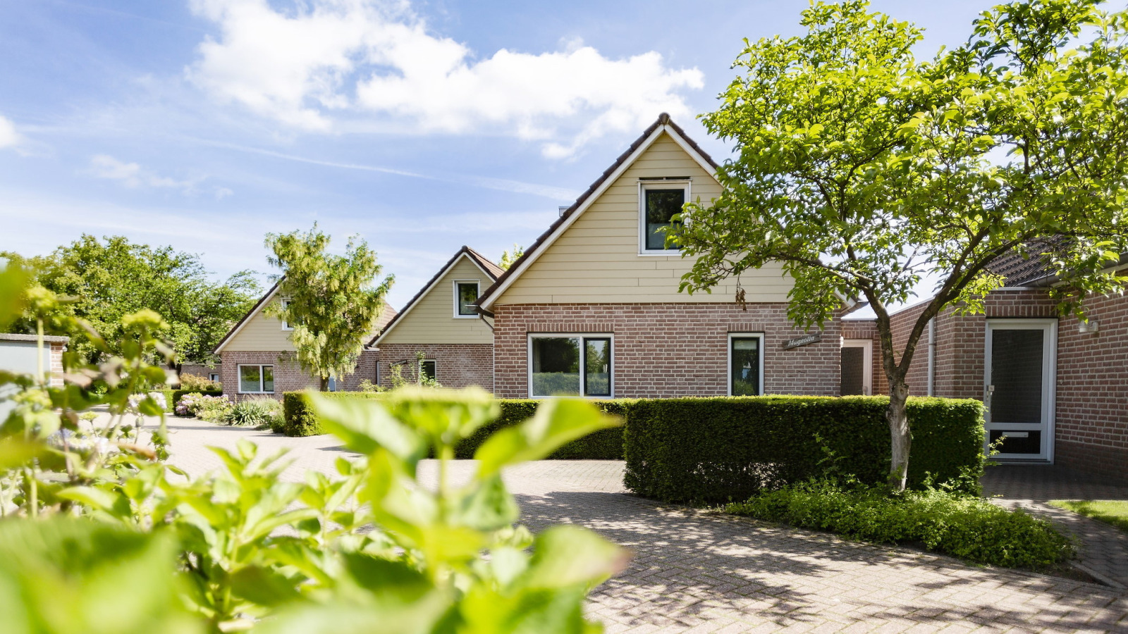 Bungalow in Plasmolen voor 6 personen foto 20