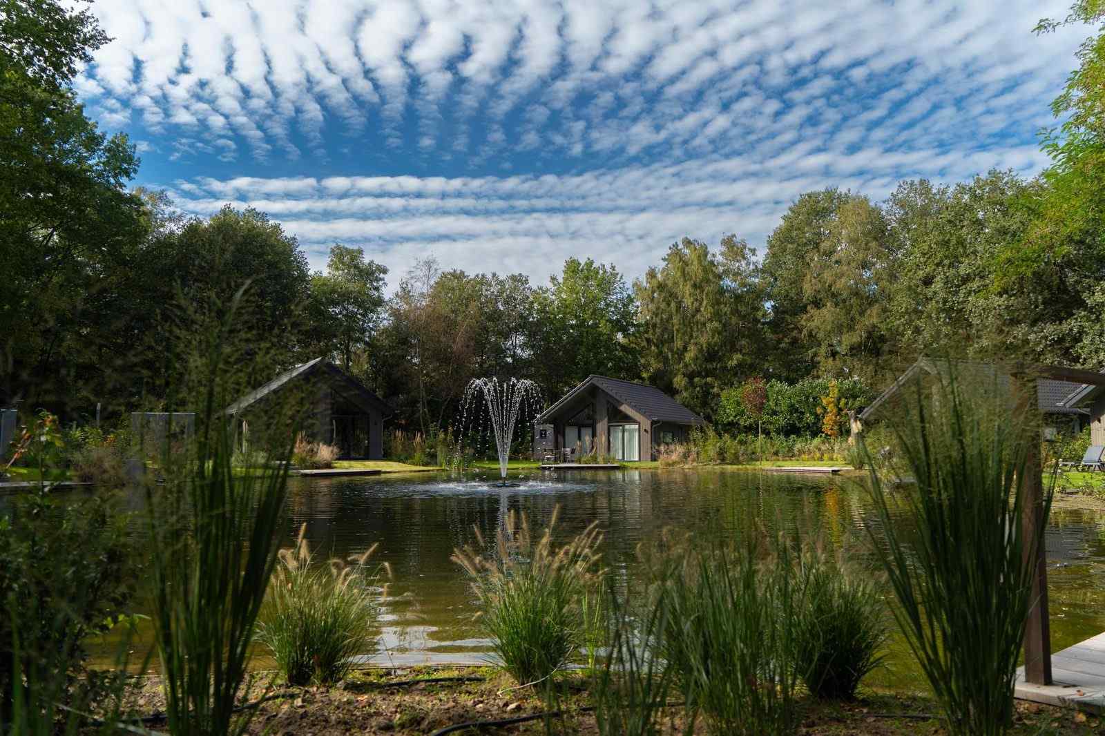 sfeervolle-6-persoons-ecovilla-met-sauna-gelegen-in-de-bosrijke-omgeving-van-oirschot