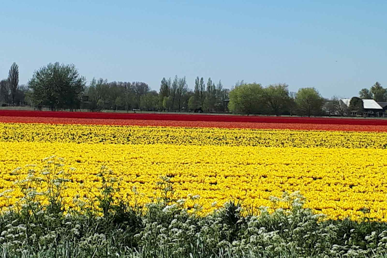 NH395