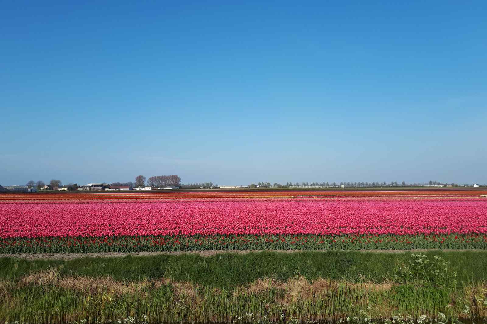 NH395