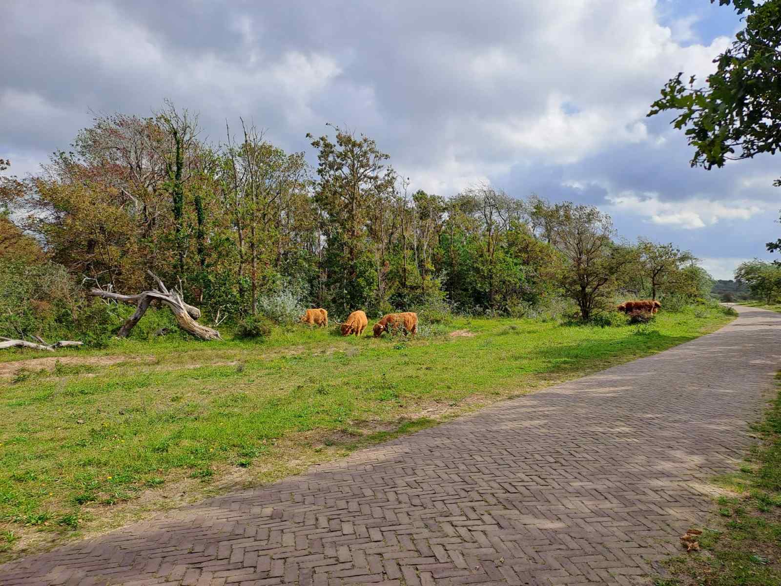 heerlijk-2-persoons-accommodatie-dichtbij-het-strand-in-egmond-binnen