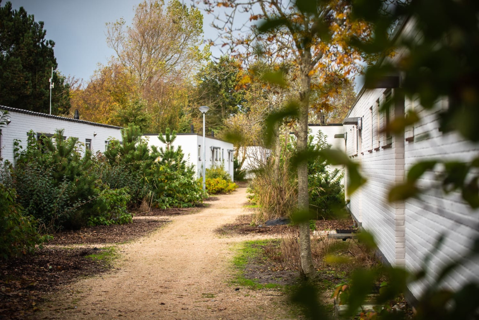 4 persoons vakantiehuis op een park in Sint-Maartenszee - Nederland - Europa - Sint-Maartenszee