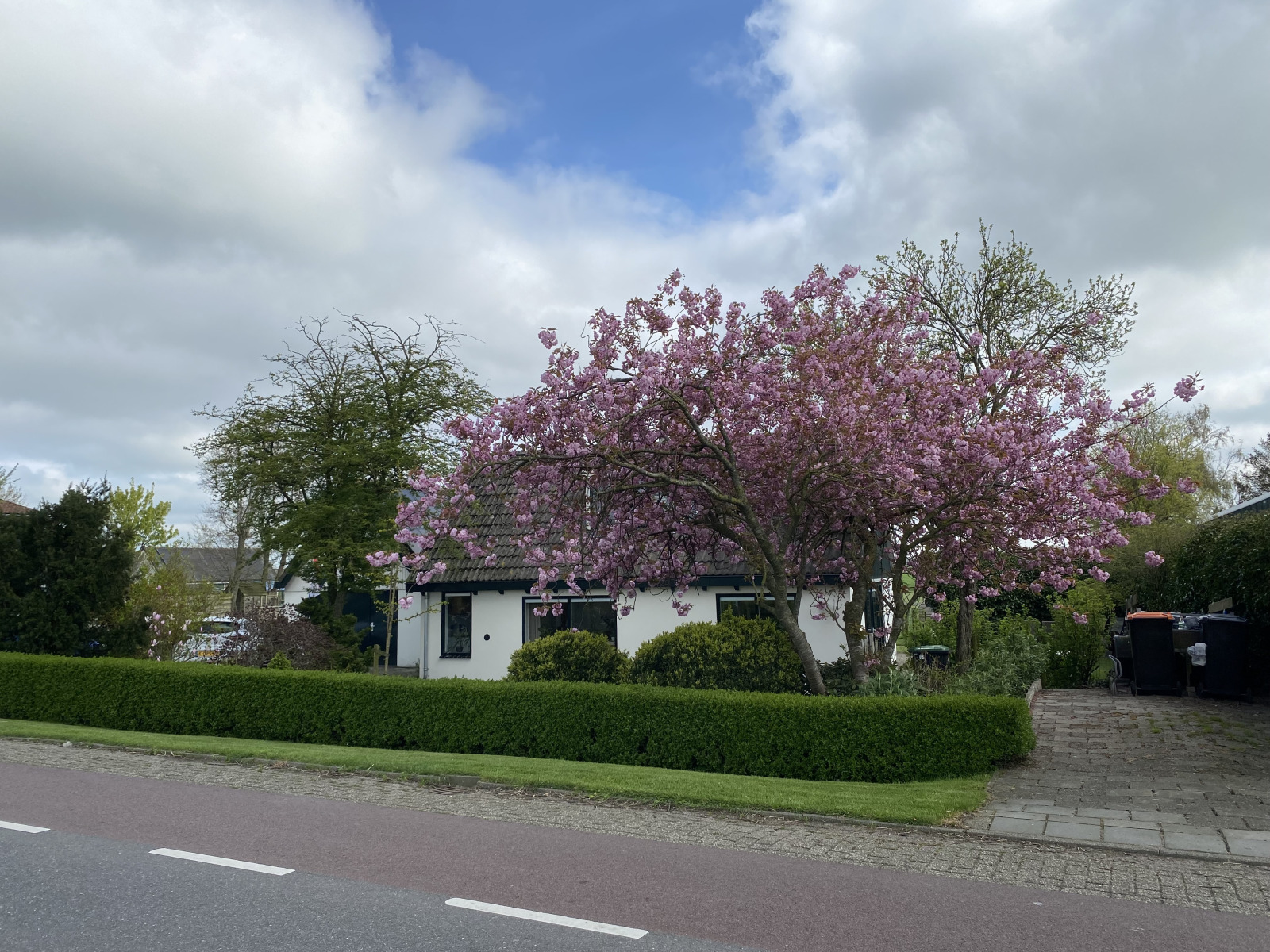 NH539