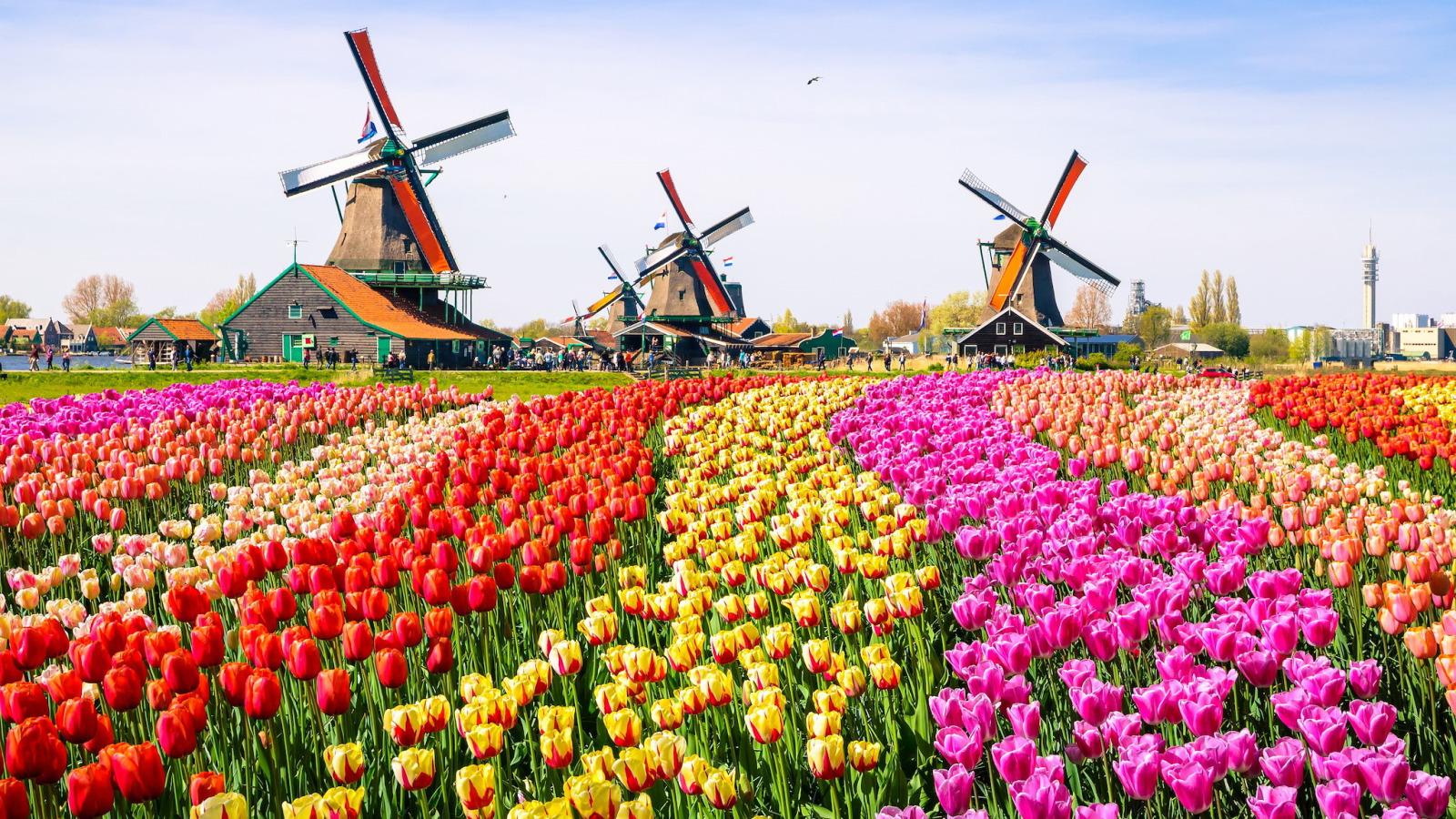 Recreatiewoning in Opperdoes voor 6 personen foto 5