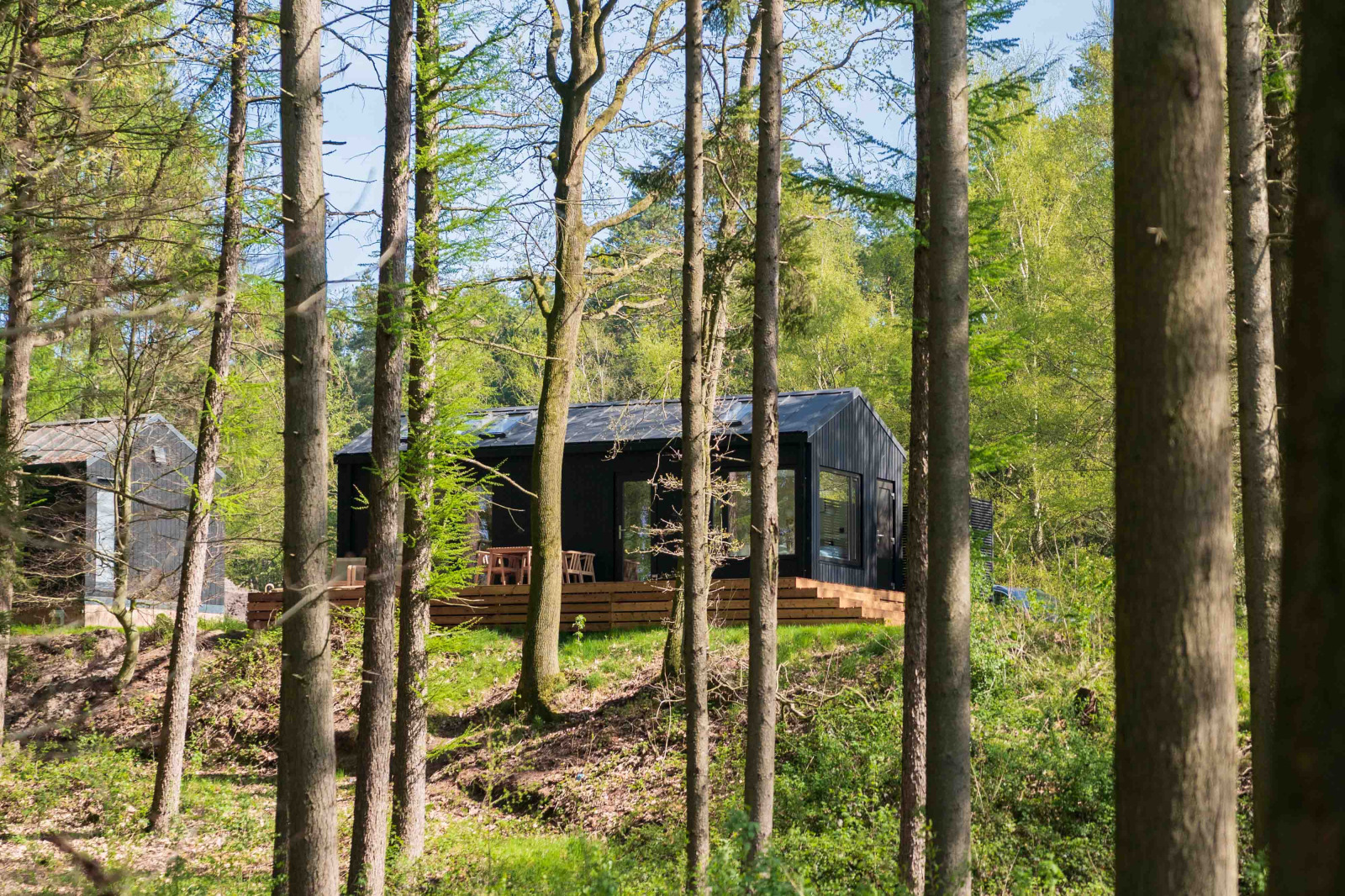 NS048
