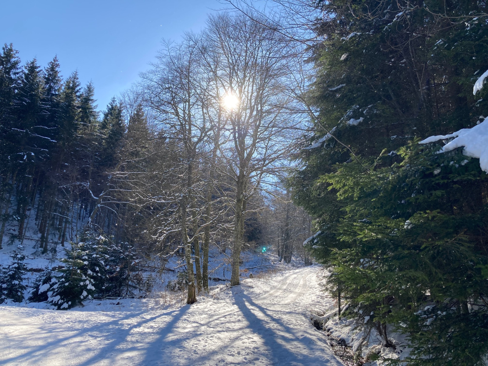 ruime-30-persoons-groepsaccommodatie-in-wulmeringhausen-nabij-winterberg