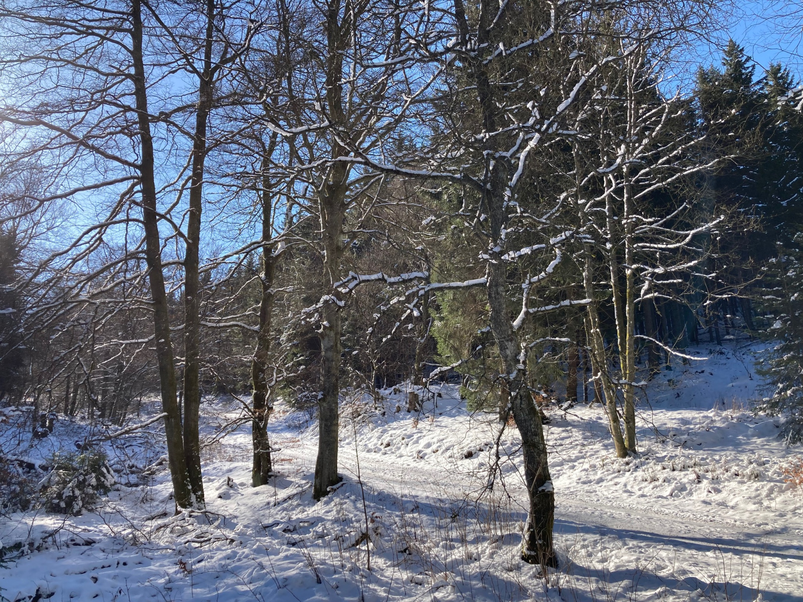 ruime-30-persoons-groepsaccommodatie-in-wulmeringhausen-nabij-winterberg