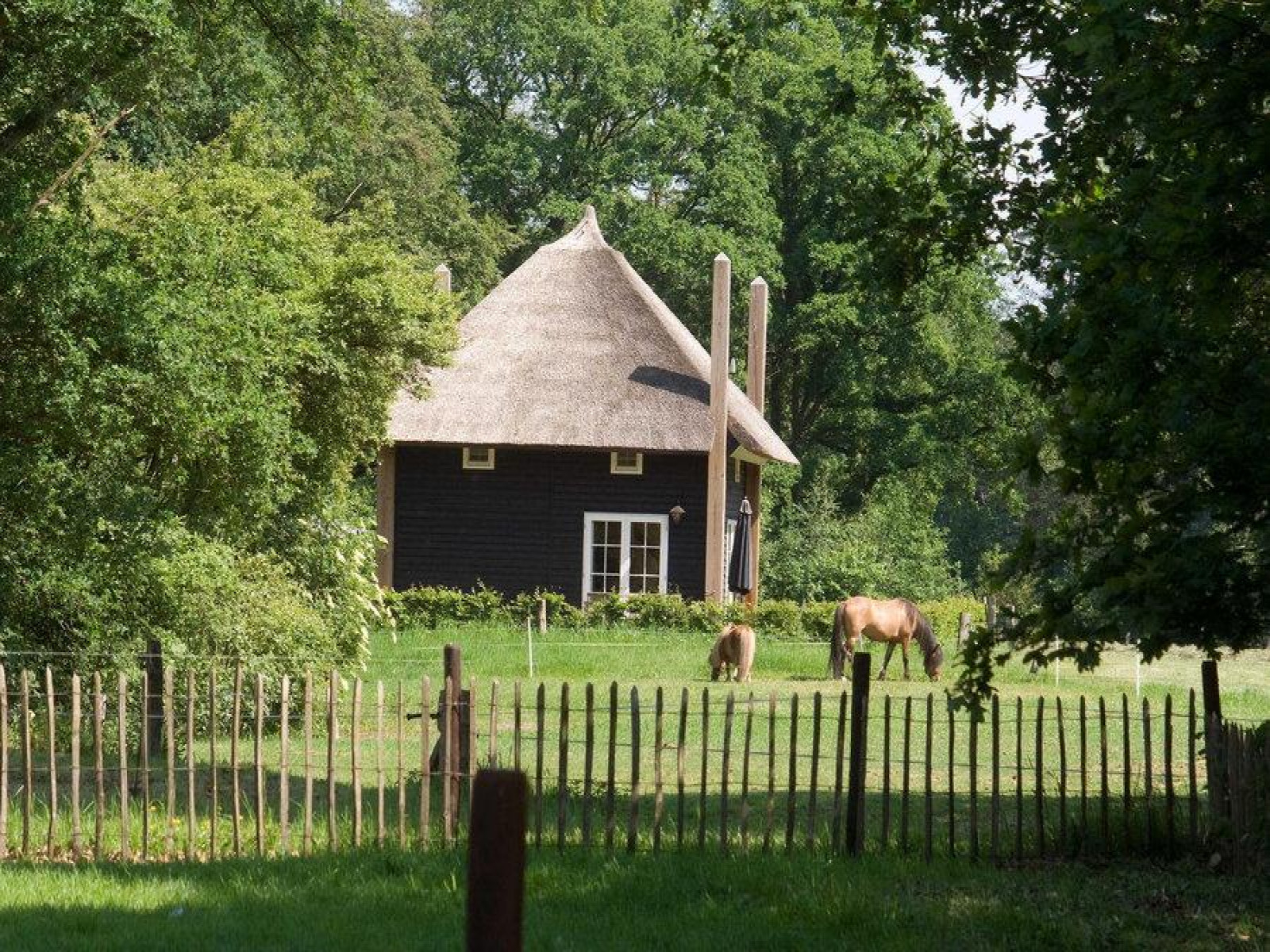 Luxe 5 persoons vakantiehuis in Salland met sauna.