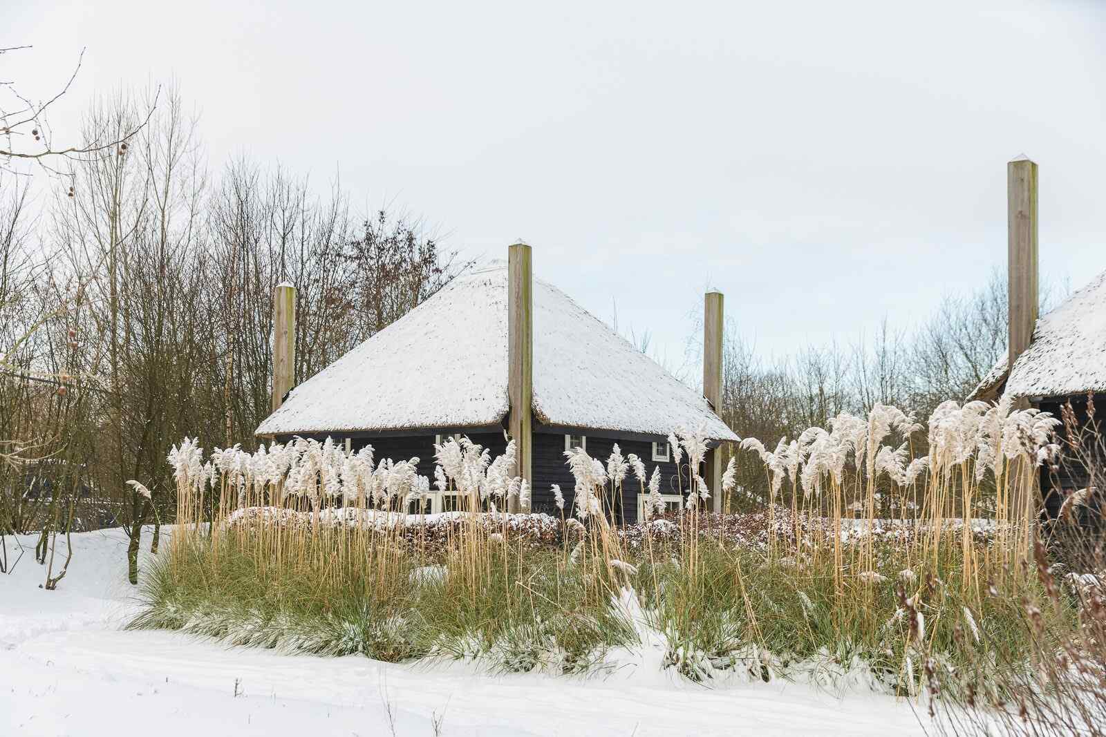 vakantiehuis-met-sauna-en-hottub-op-vakantiepark-molke