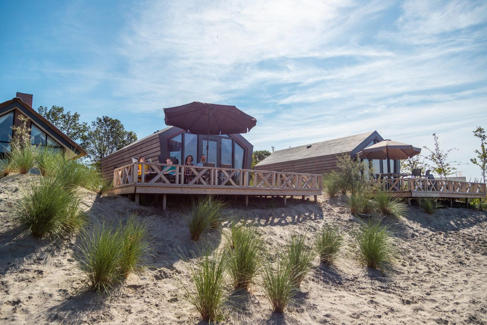 Modern 4 persoons Tiny House bij het water op park De I