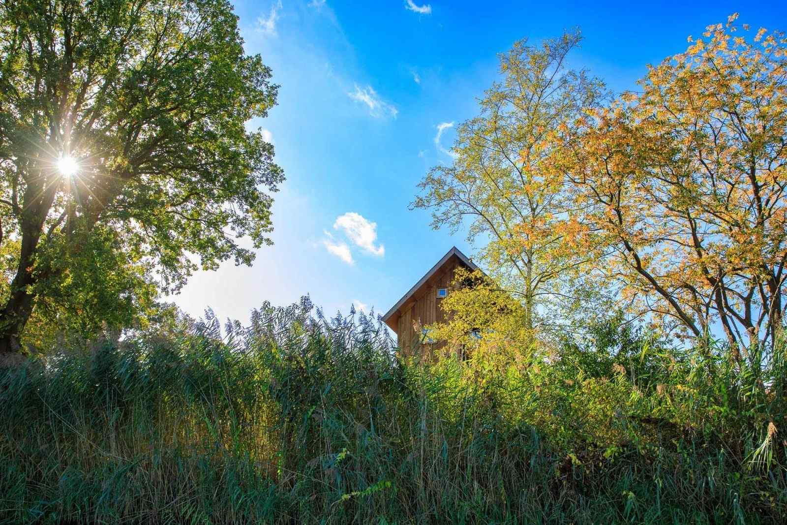 prachtig-gelegen-5-persoons-boomhut-aan-het-riviertje-de-regge-in-overijssel