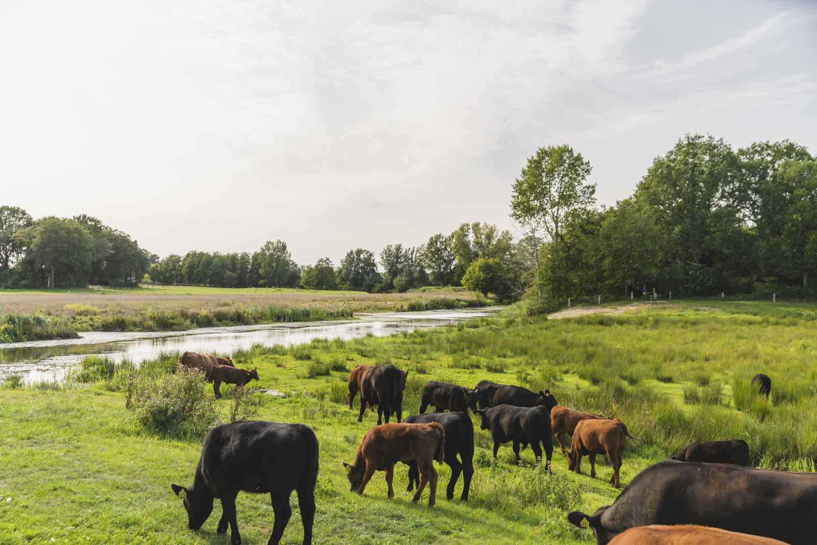 prachtig-5-persoons-hooiberg-in-wierden