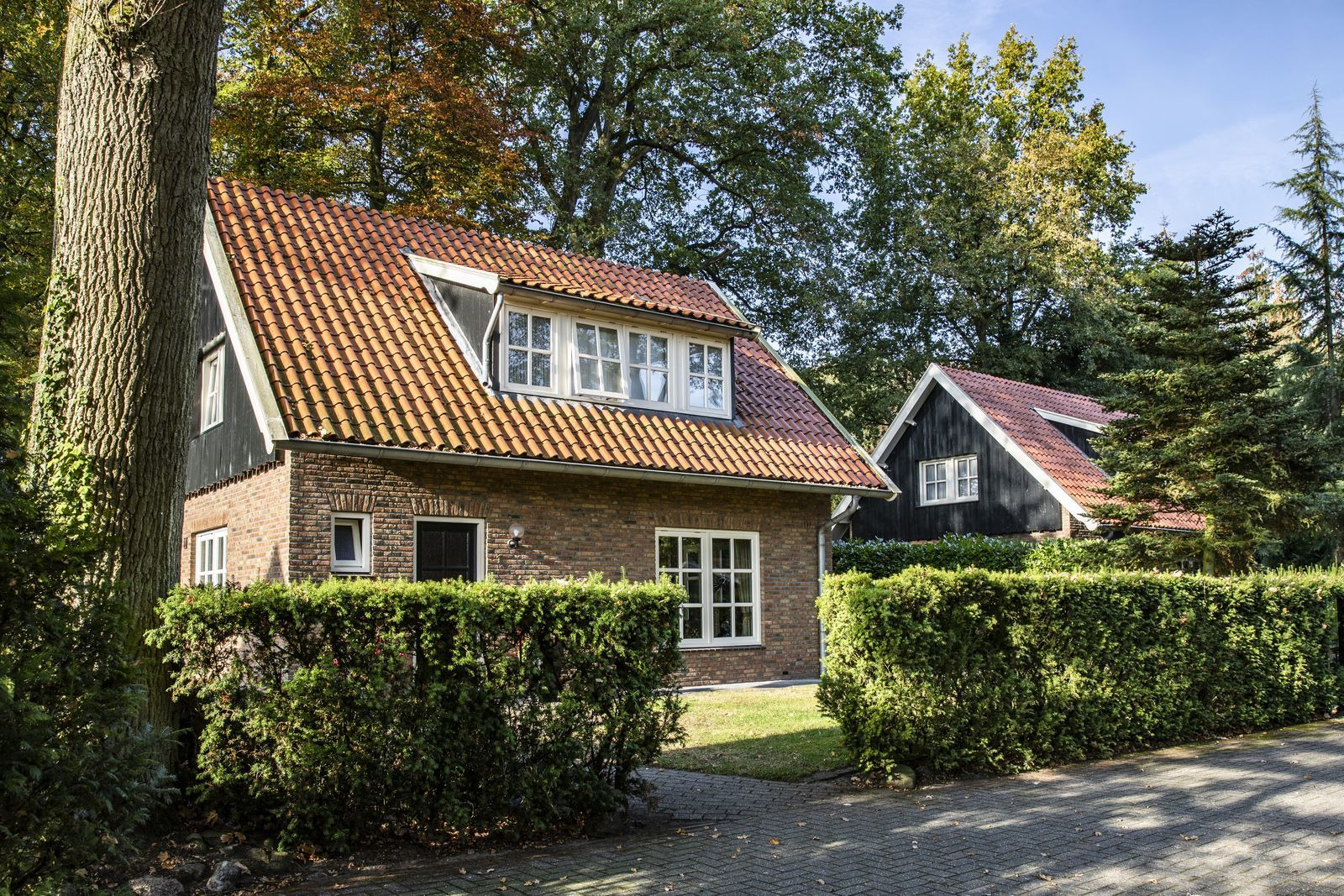 Twee heerlijke 8 persoons landhuizen naast elkaar op Landgoed Het Borghuis