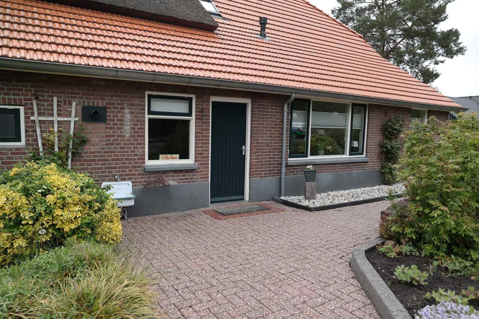 OV539