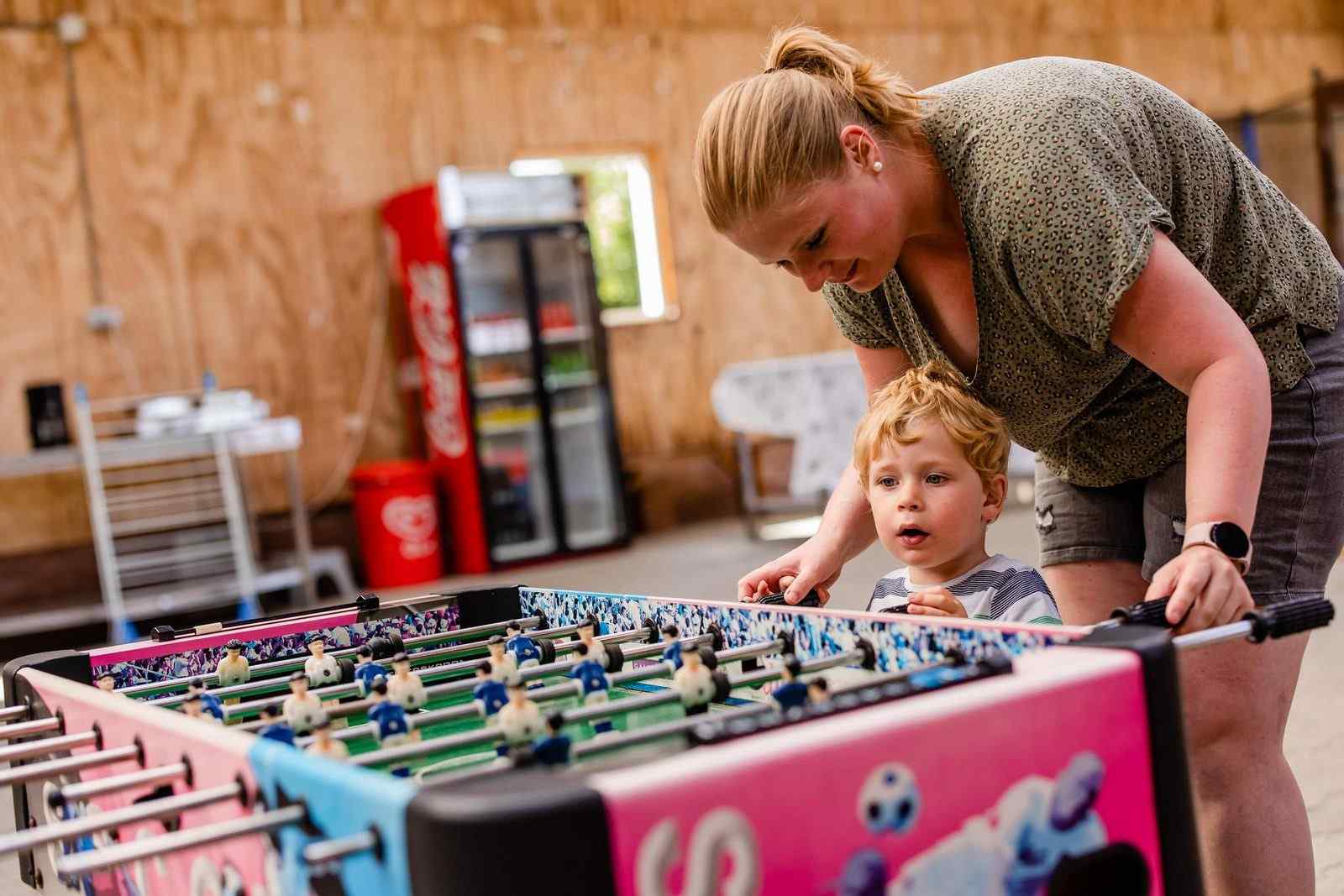 gezellig-boerderij-appartement-voor-4-personen-op-een-camping-in-het-landelijke-den-ham