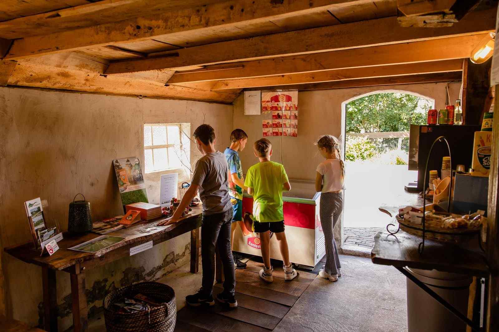 gezellig-boerderij-appartement-voor-4-personen-op-een-camping-in-het-landelijke-den-ham