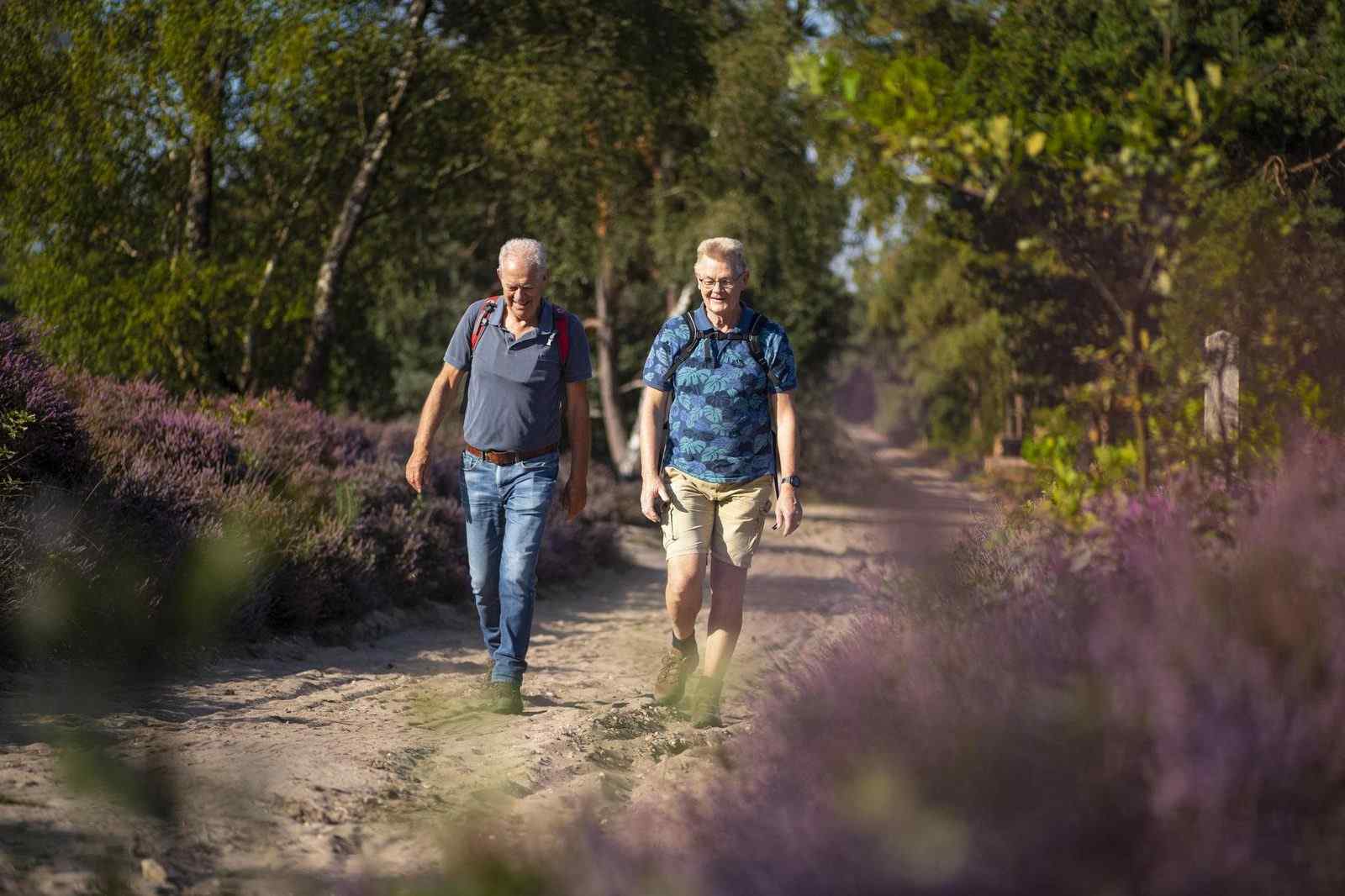 gezellig-boerderij-appartement-voor-4-personen-op-een-camping-in-het-landelijke-den-ham