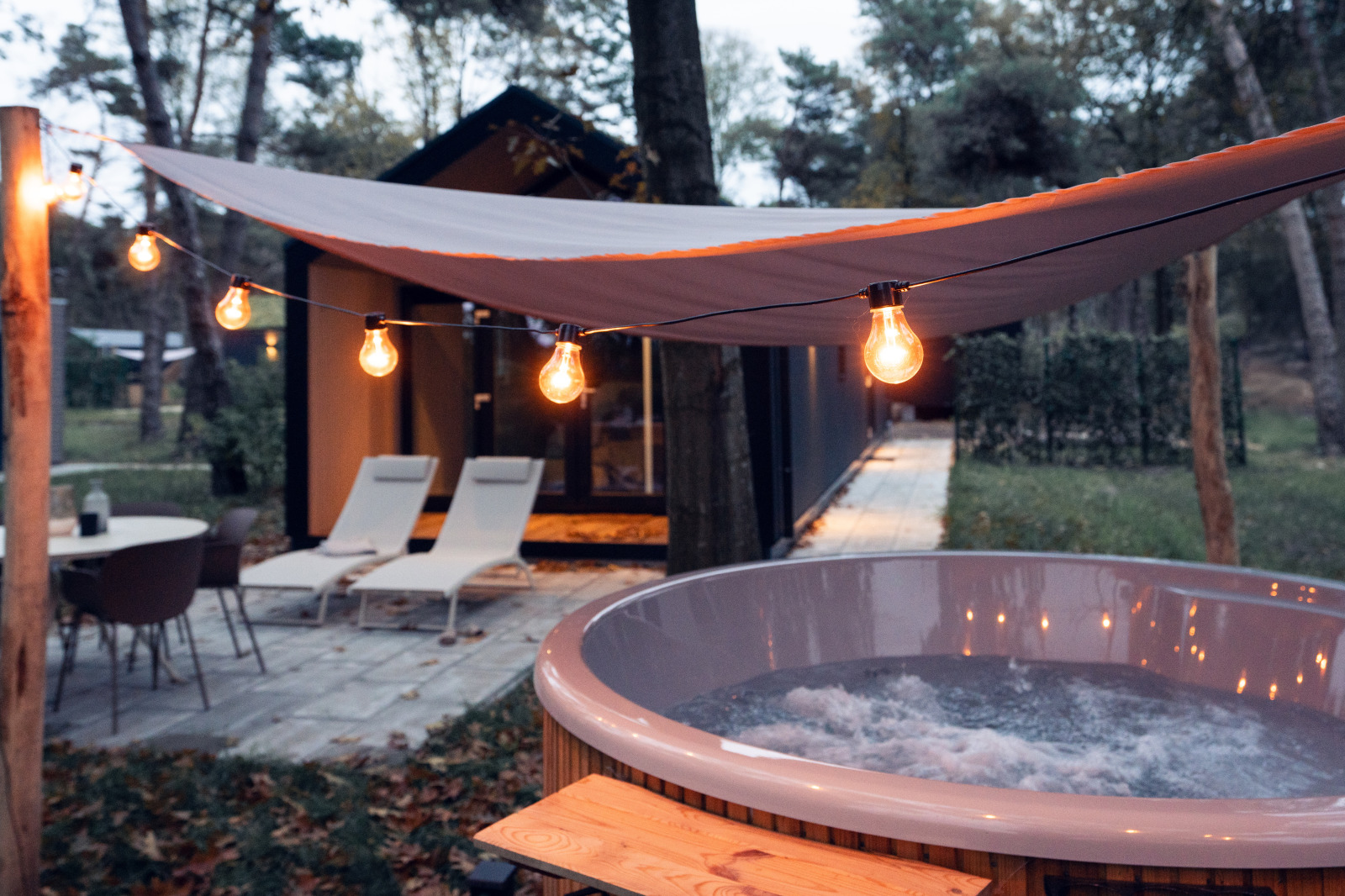 Modern ingerichte 4 persoons lodge met hottub in Haarle