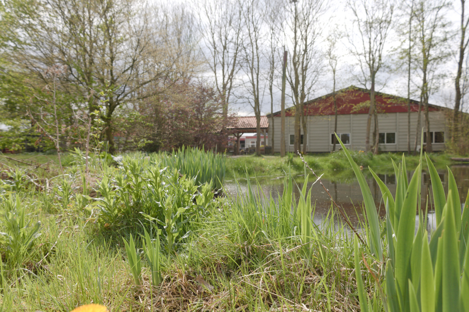 Vakantieboerderij in Baarlo-(Ov.) voor 40 personen foto 15